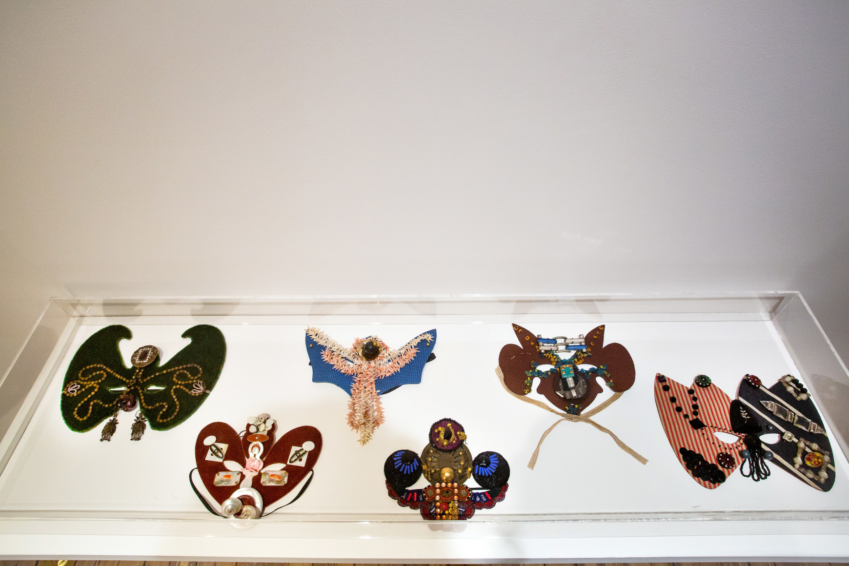 Paulina Peavy/Lacamo: They Call us Unidentified