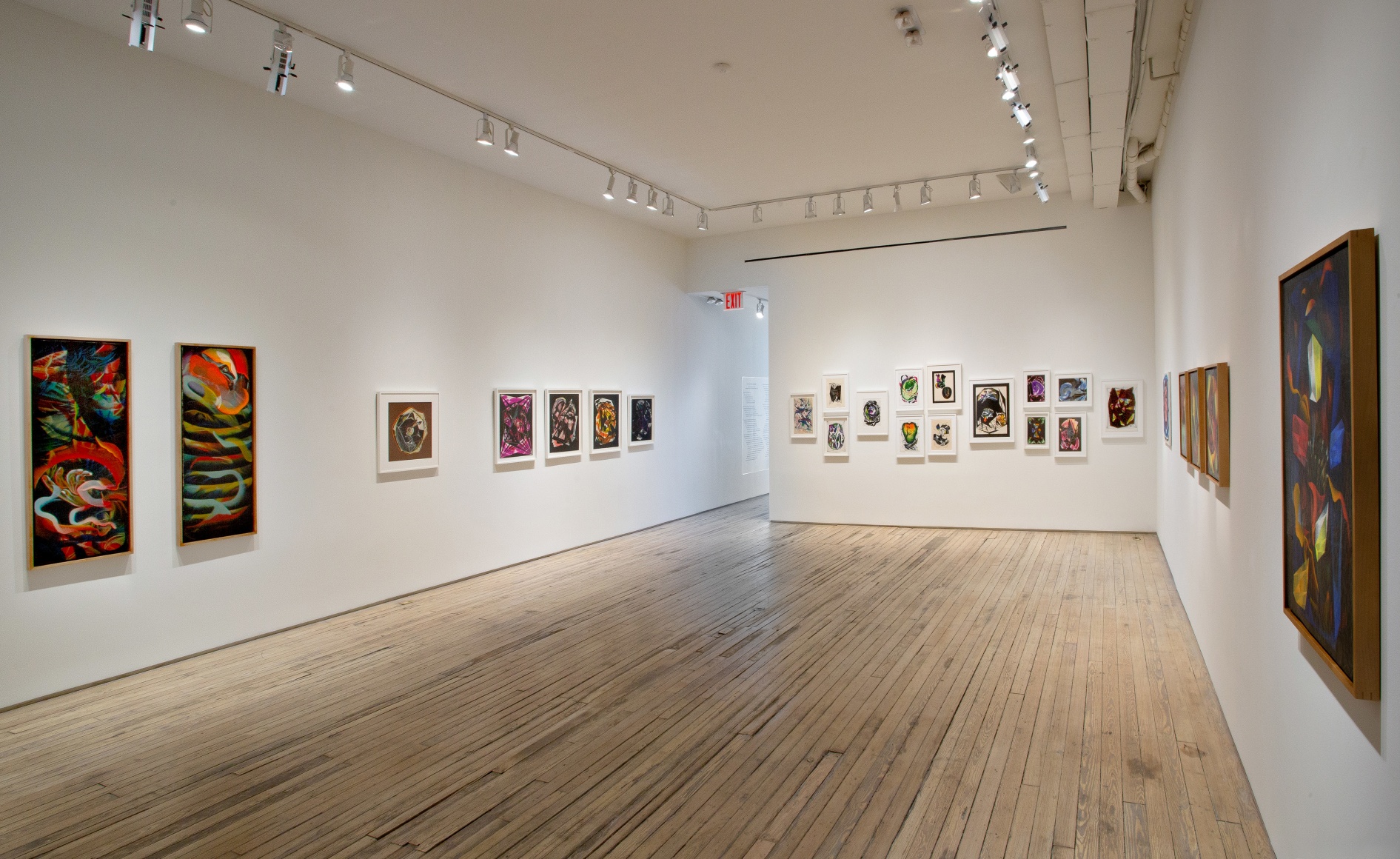 Paulina Peavy/Lacamo: They Call us Unidentified