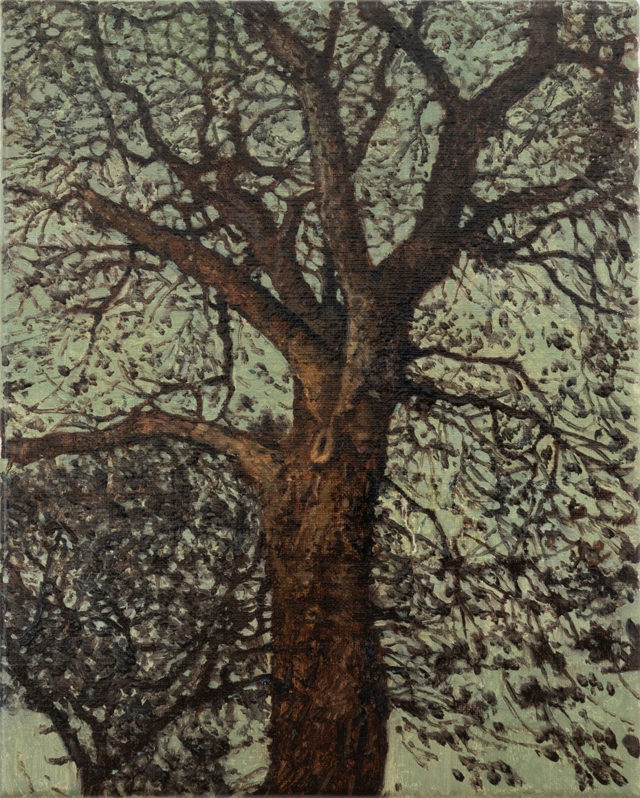 Nicholas Bierk Ash Boughs, 2023