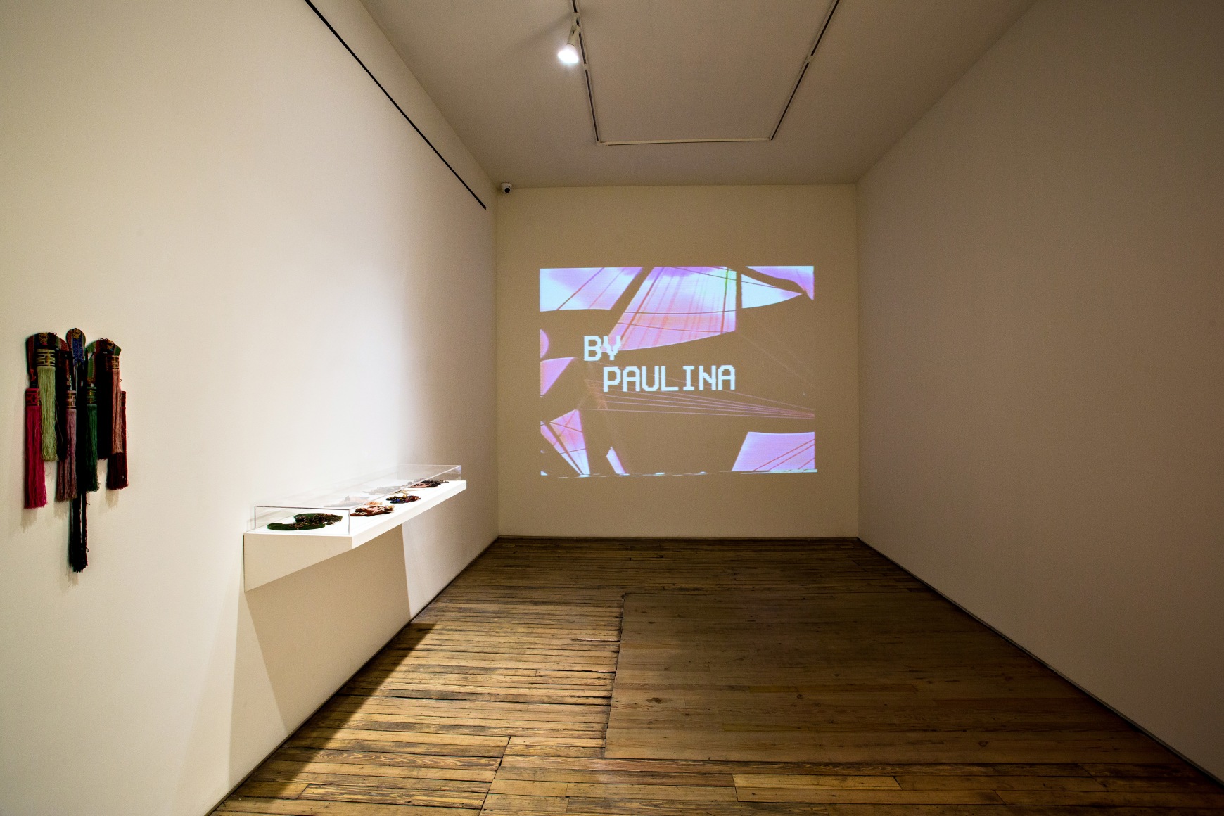 Paulina Peavy/Lacamo: They Call us Unidentified