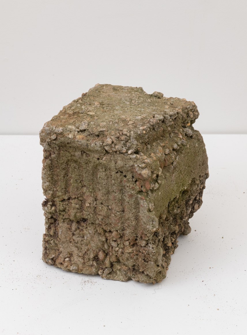 Beverly Buchanan (1940 - 2015)