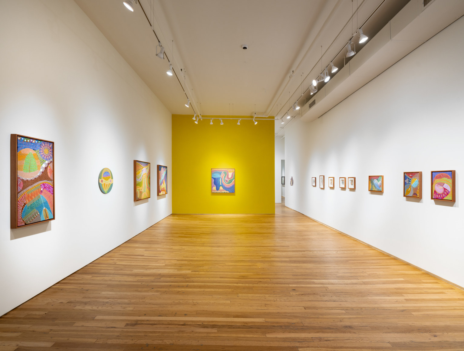 Domenico Zindato: On the Dotted Line