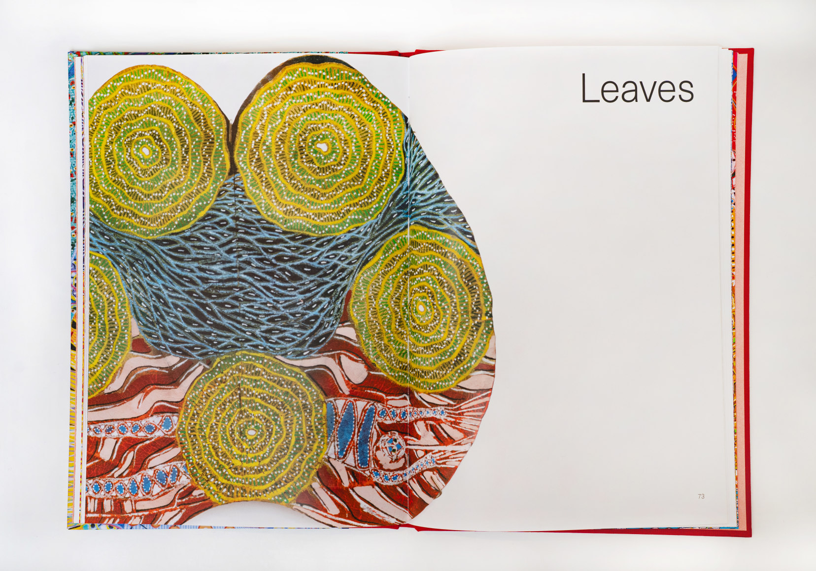 Domenico Zindato: On the Dotted Line