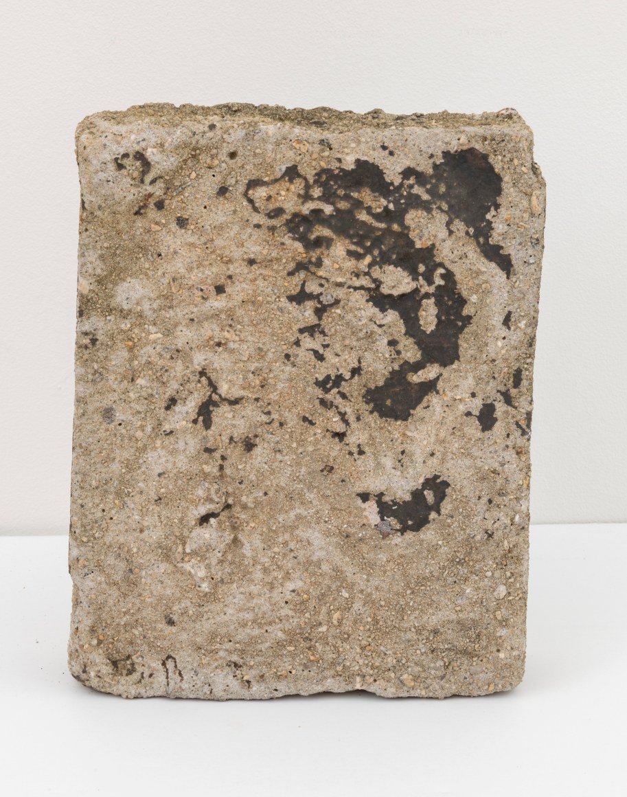 Beverly Buchanan (1940 - 2015)