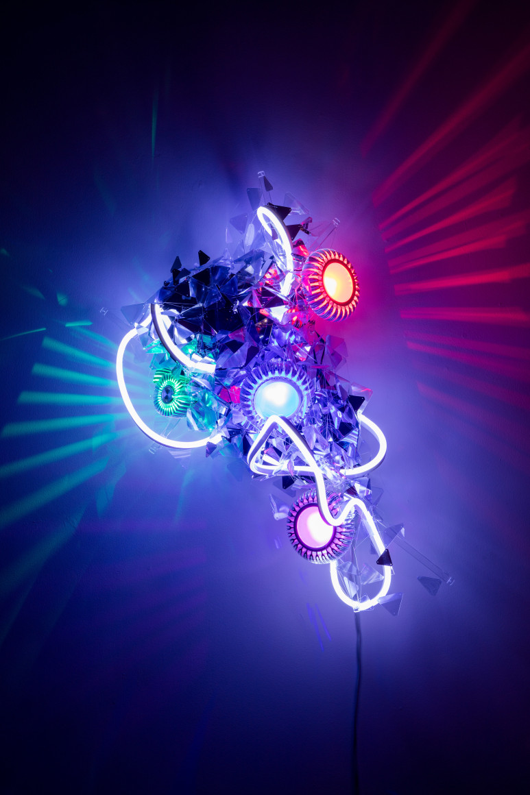 Adela Andea, Jessant-de-lys, 2016