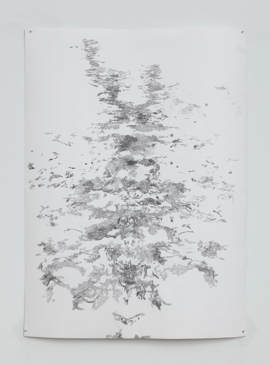 Anne Allen La Digue #1, 2018