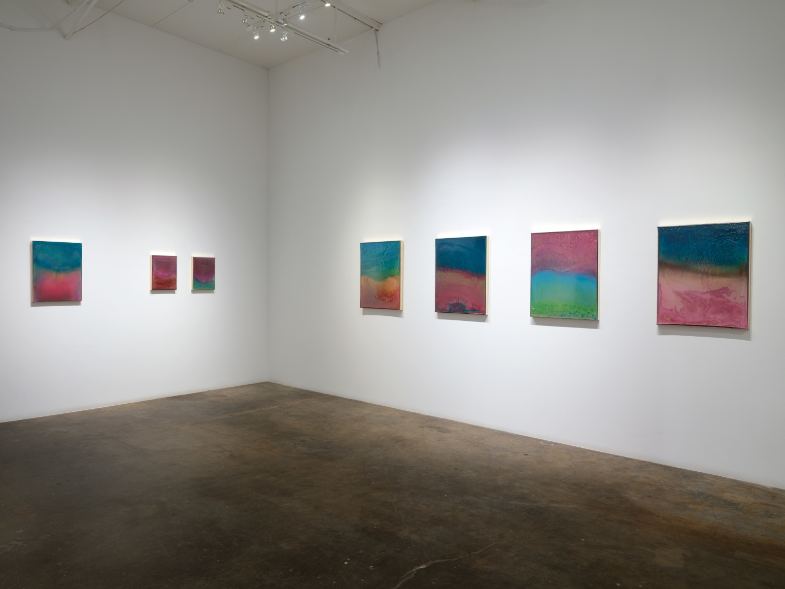 Terry Suprean, The Fatale Softness in the Earth