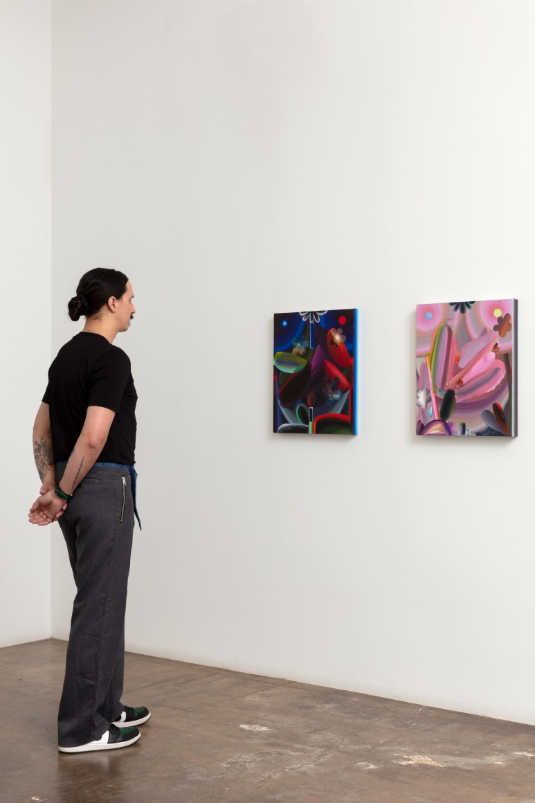 Raychael Stine, Wonder Dawn