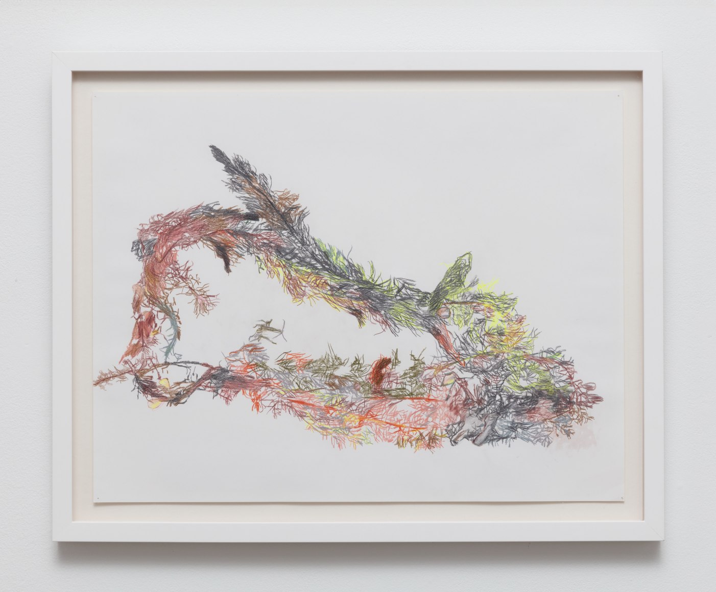 Anne Allen, Myriophyllum III, 2024