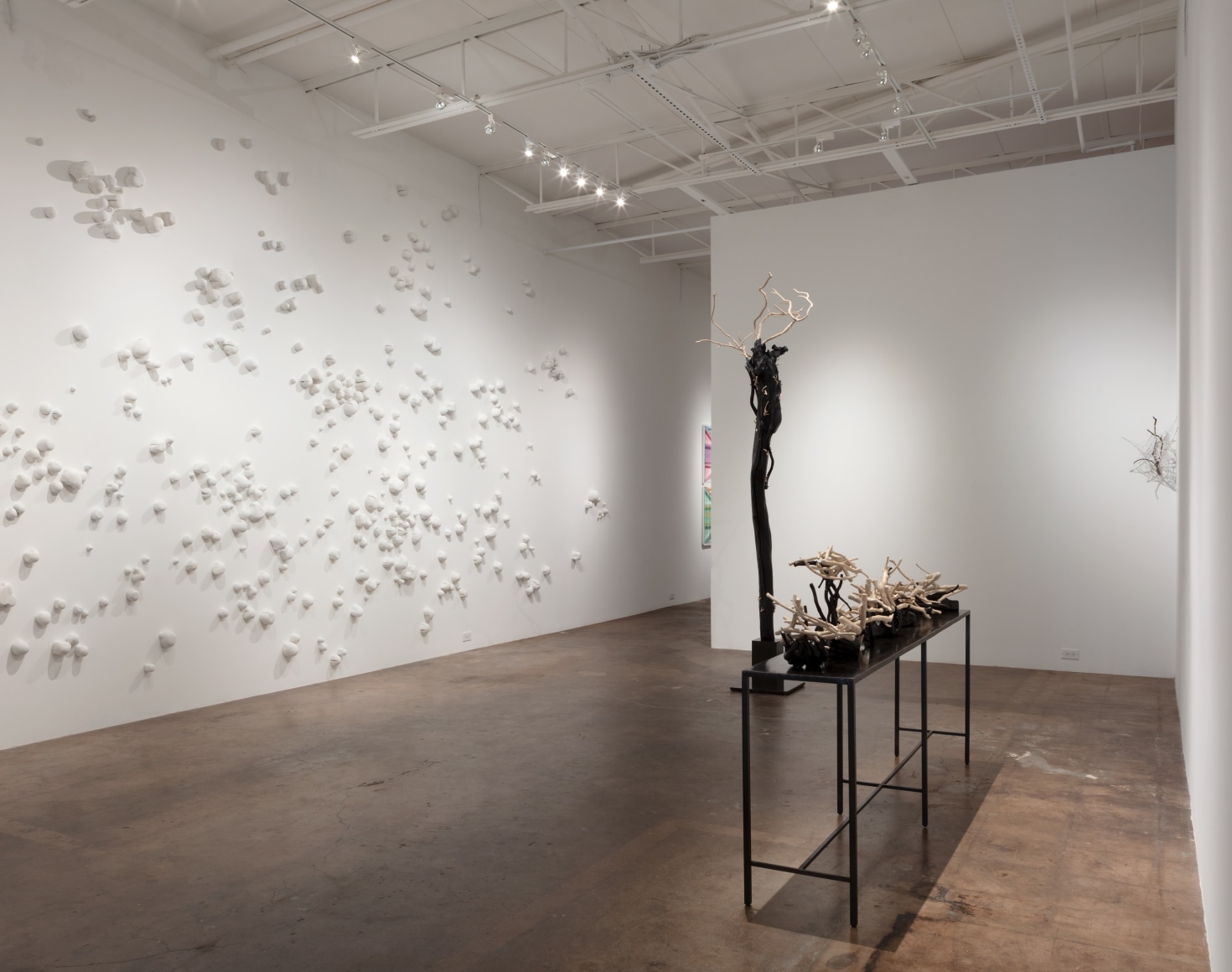 Sherry Owens: Tied to This World