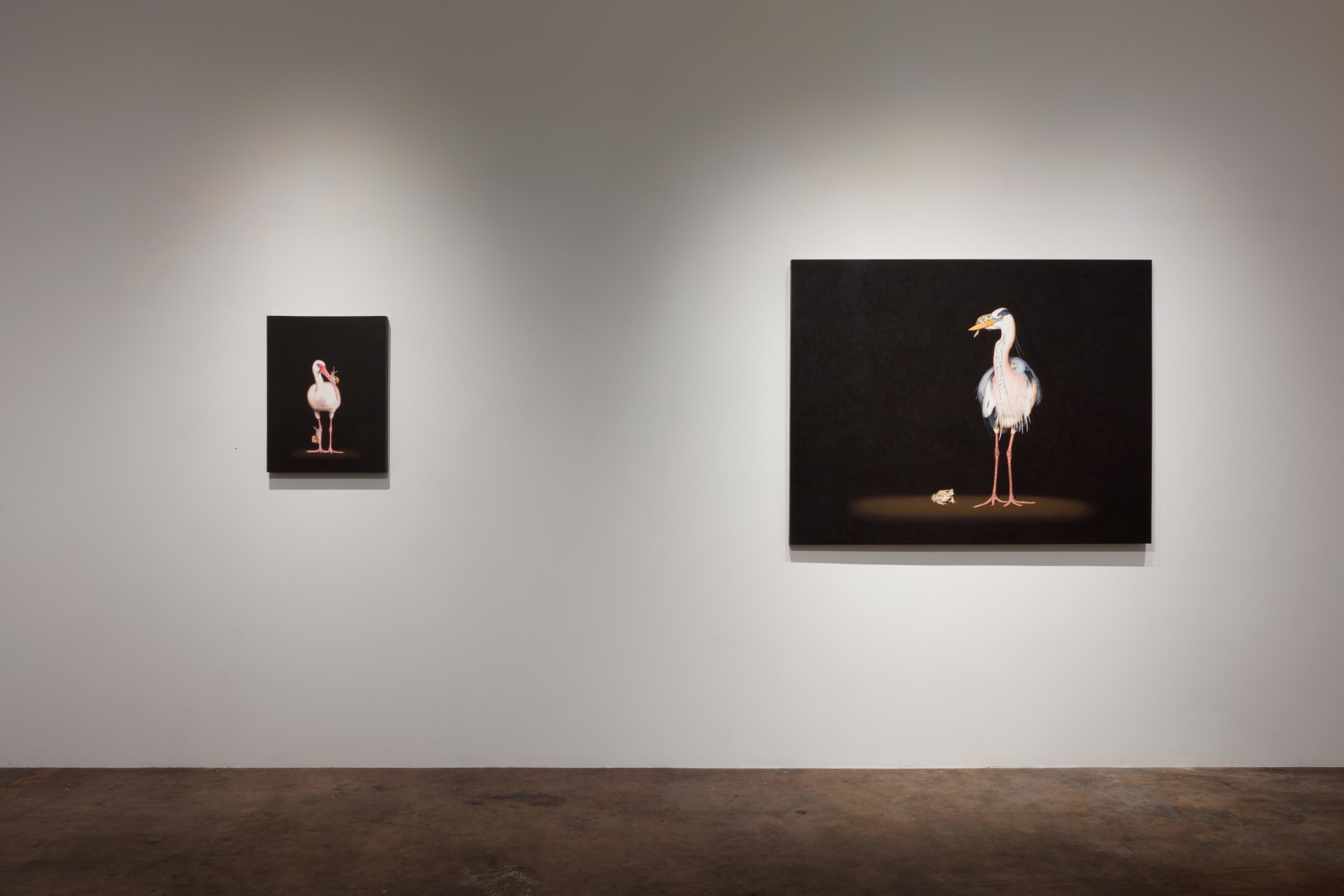 Isabelle du Toit: Truce November 18 &ndash; December 30, 2017