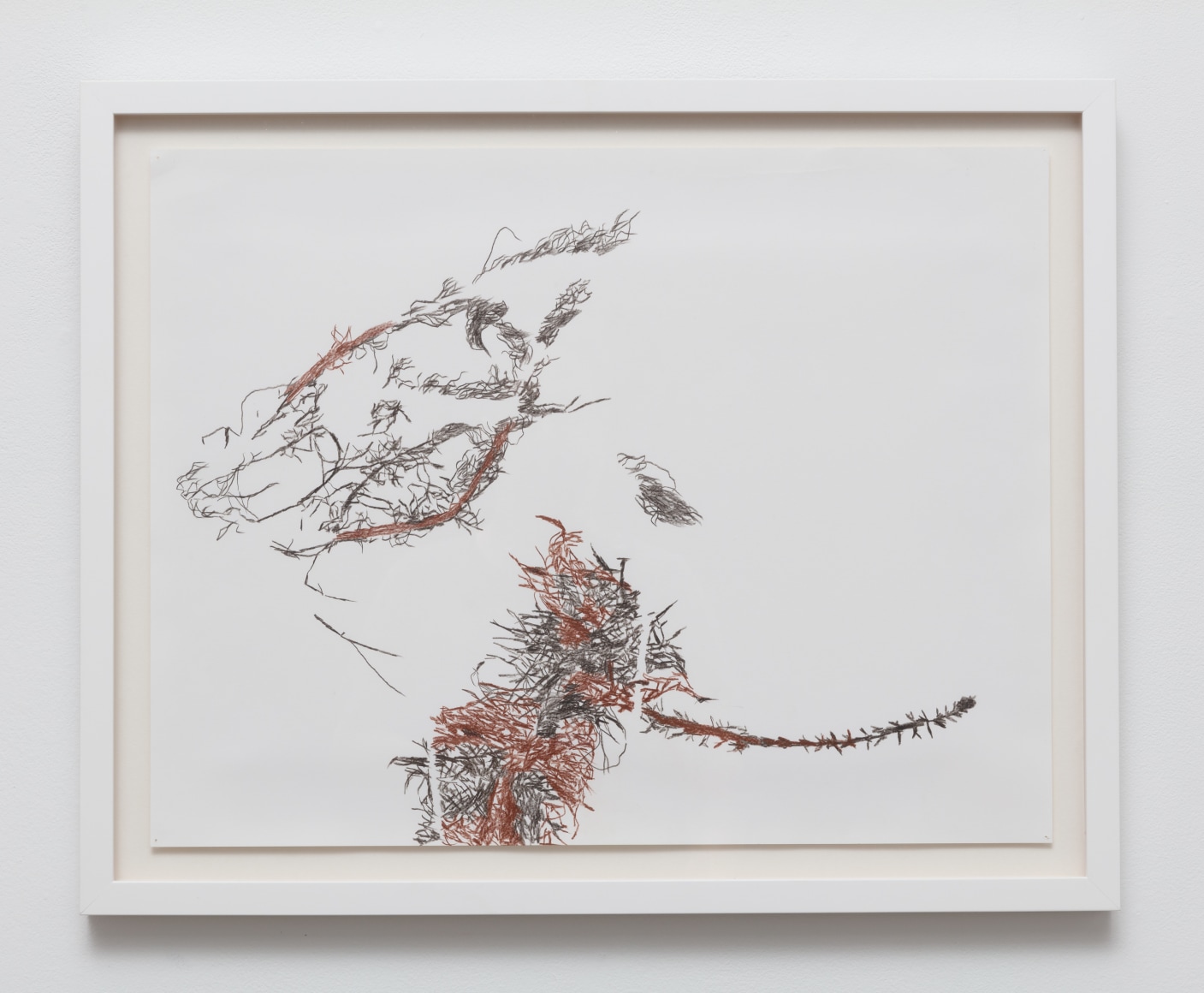 Anne Allen, Myriophyllum IV, 2024