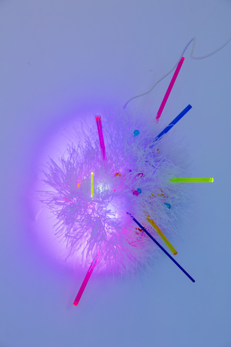 Adela Andea, White Dwarf, 2017