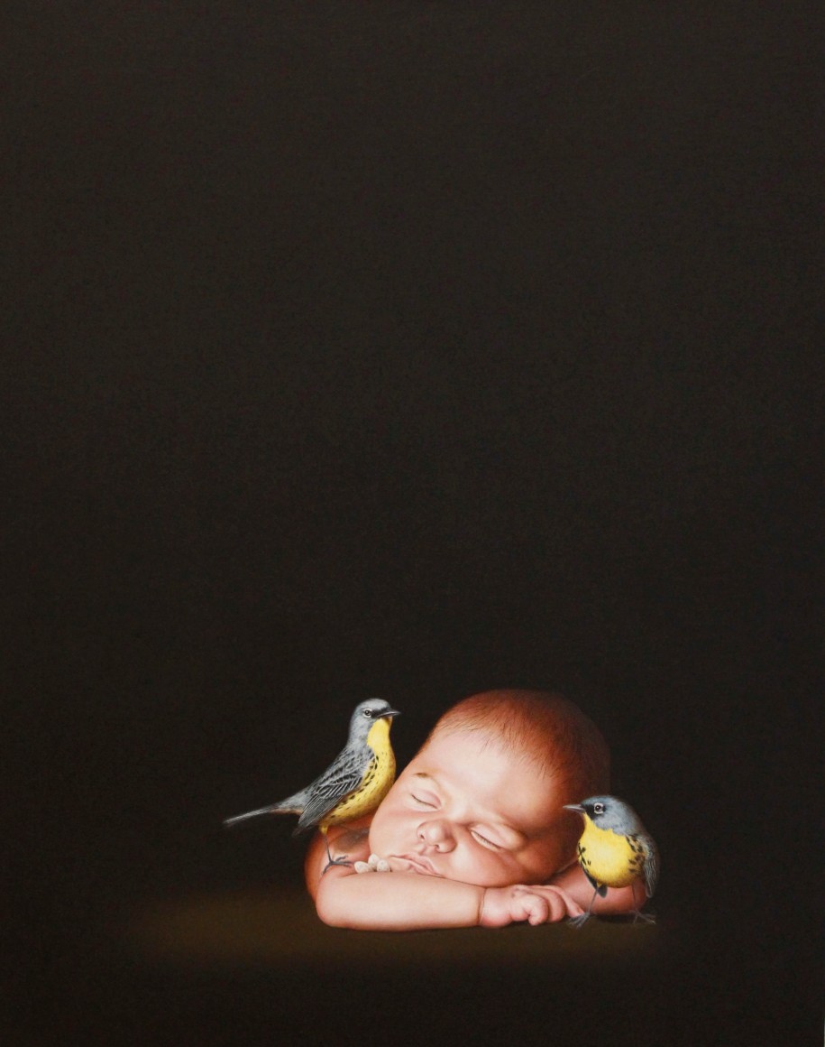 Isabelle du Toit, Conservation, 2013