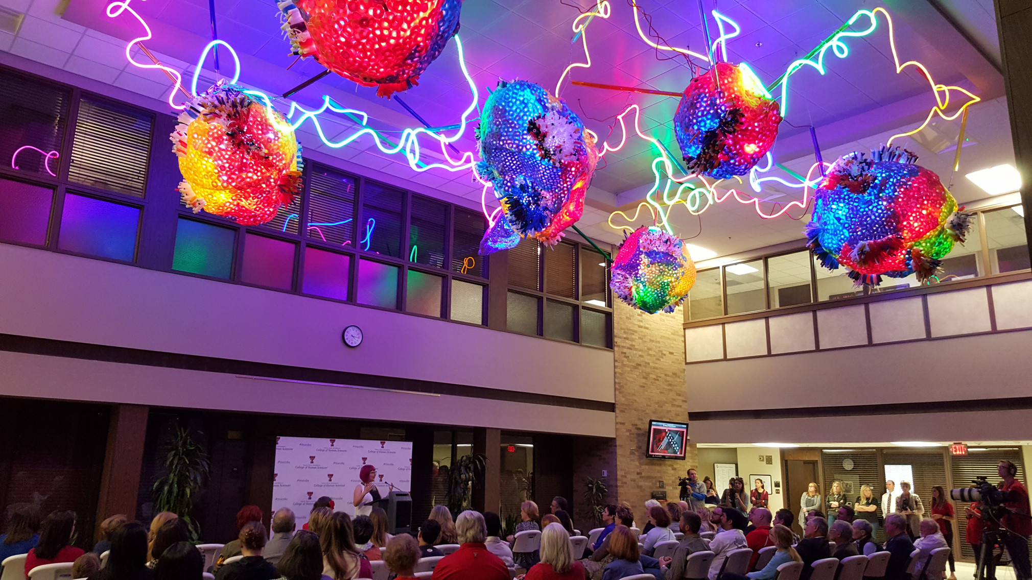 Adela Andea | Installation at Texas Tech University