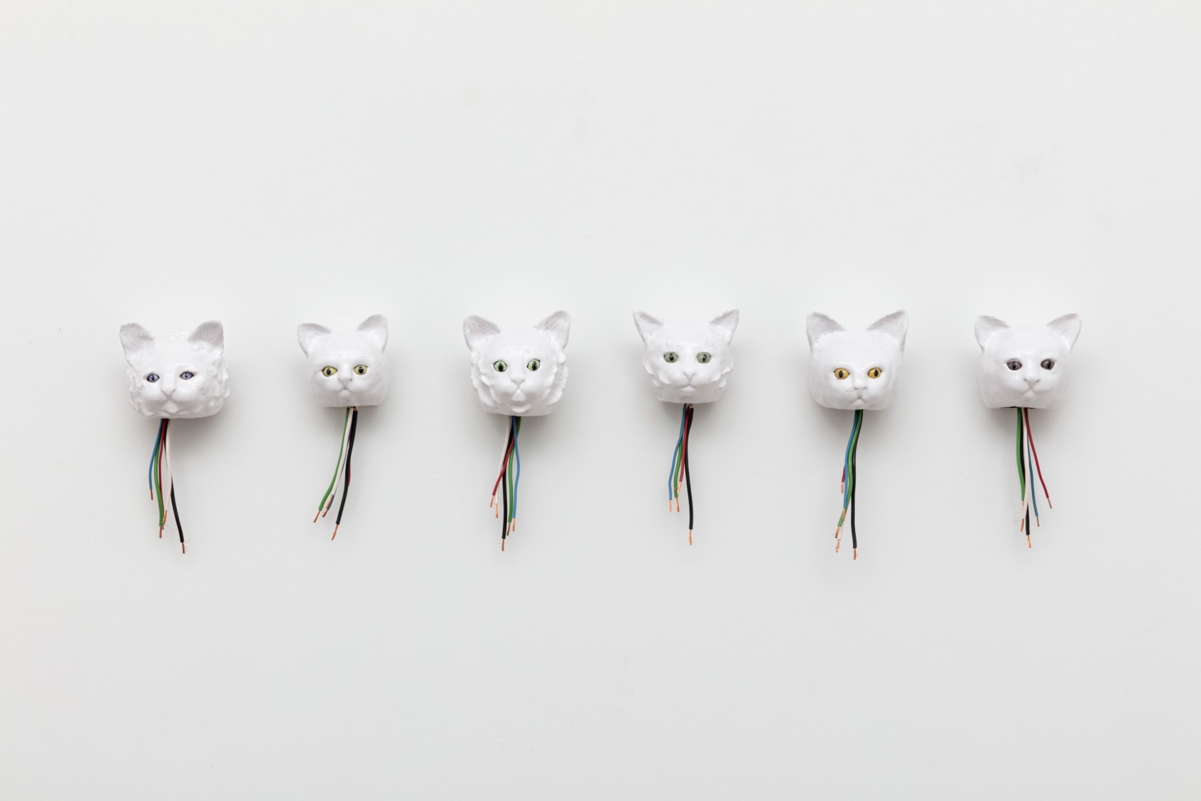 Celia Eberle, Automatic Cats, 2021