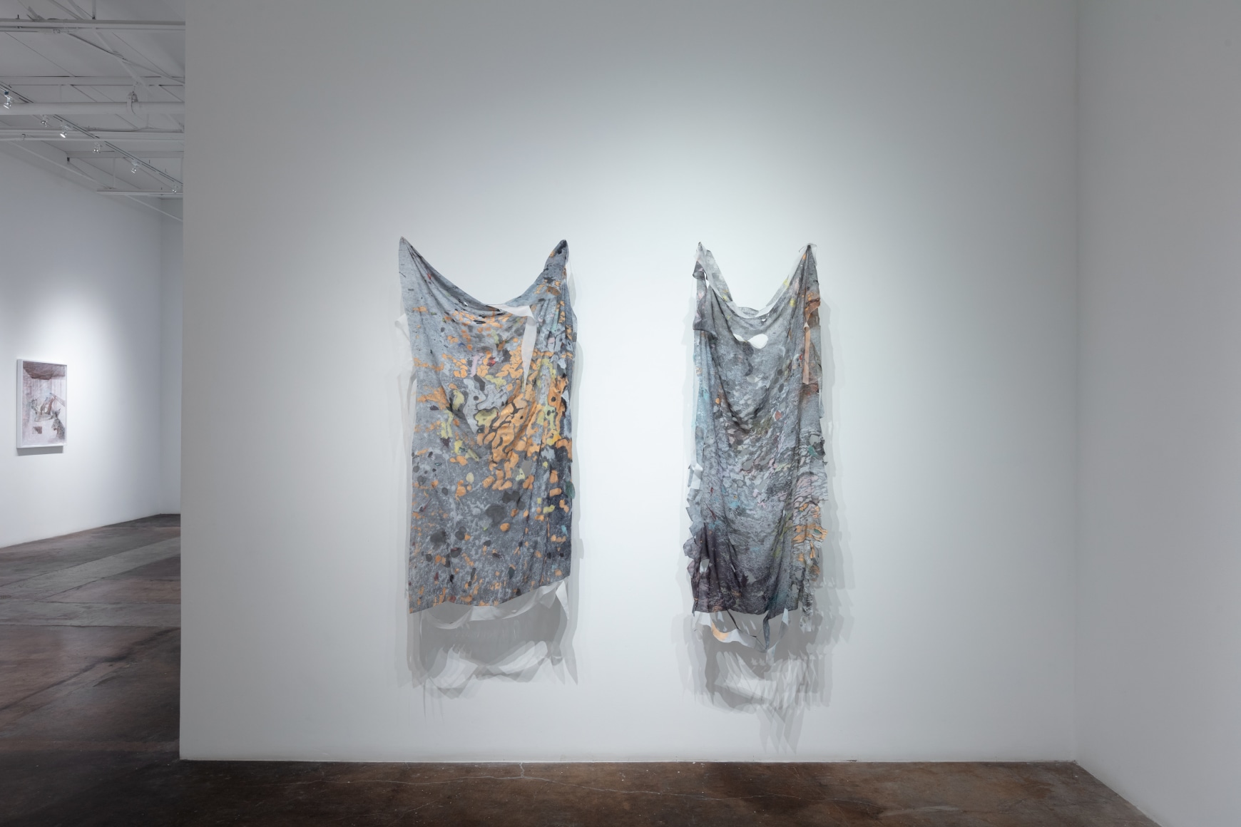 Anne Allen | Animal, Vegetable, Mineral, June 22 - August 17, 2024