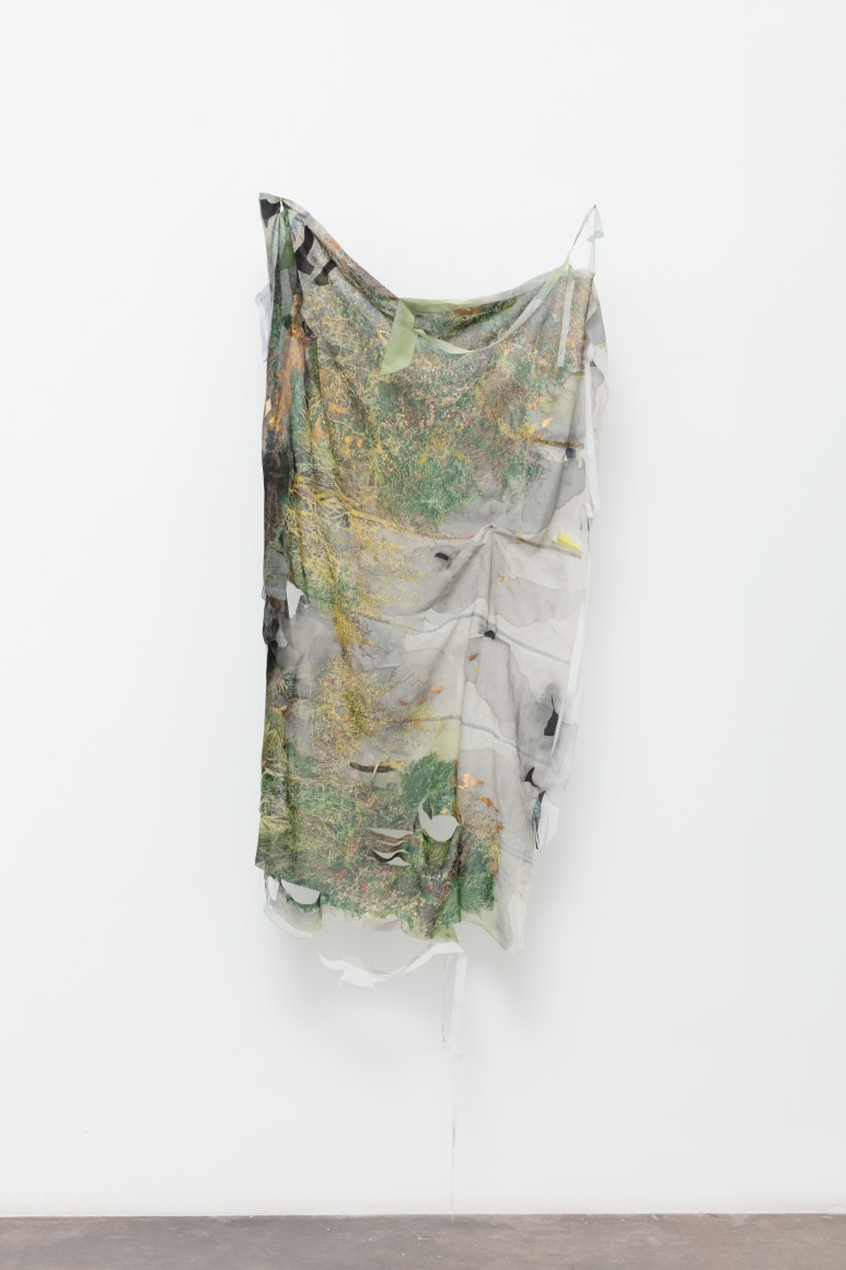 Anne Allen, Unnatural VI, 2024