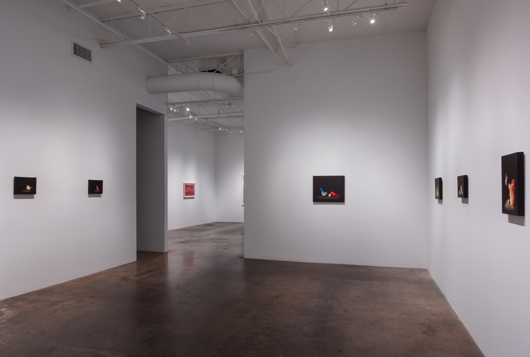 Isabelle du Toit | Diversity, April 11 - June 13, 2020