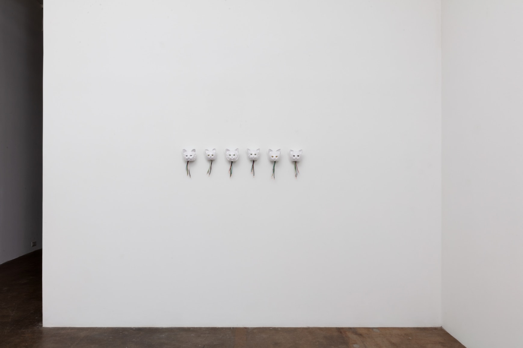 Celia Eberle |&nbsp;The Reanimation Project