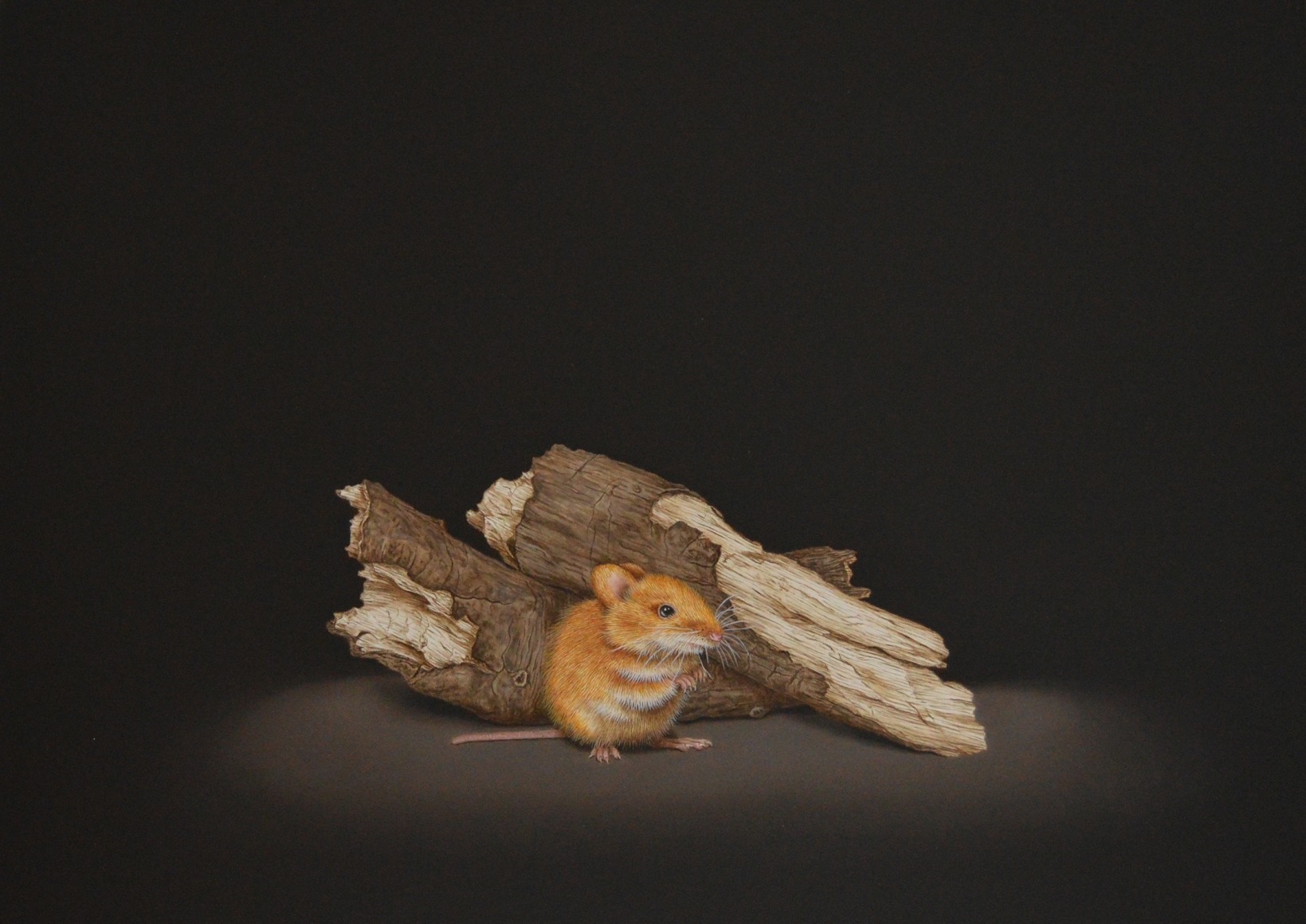 Isabelle du Toit, Mouse, 2023