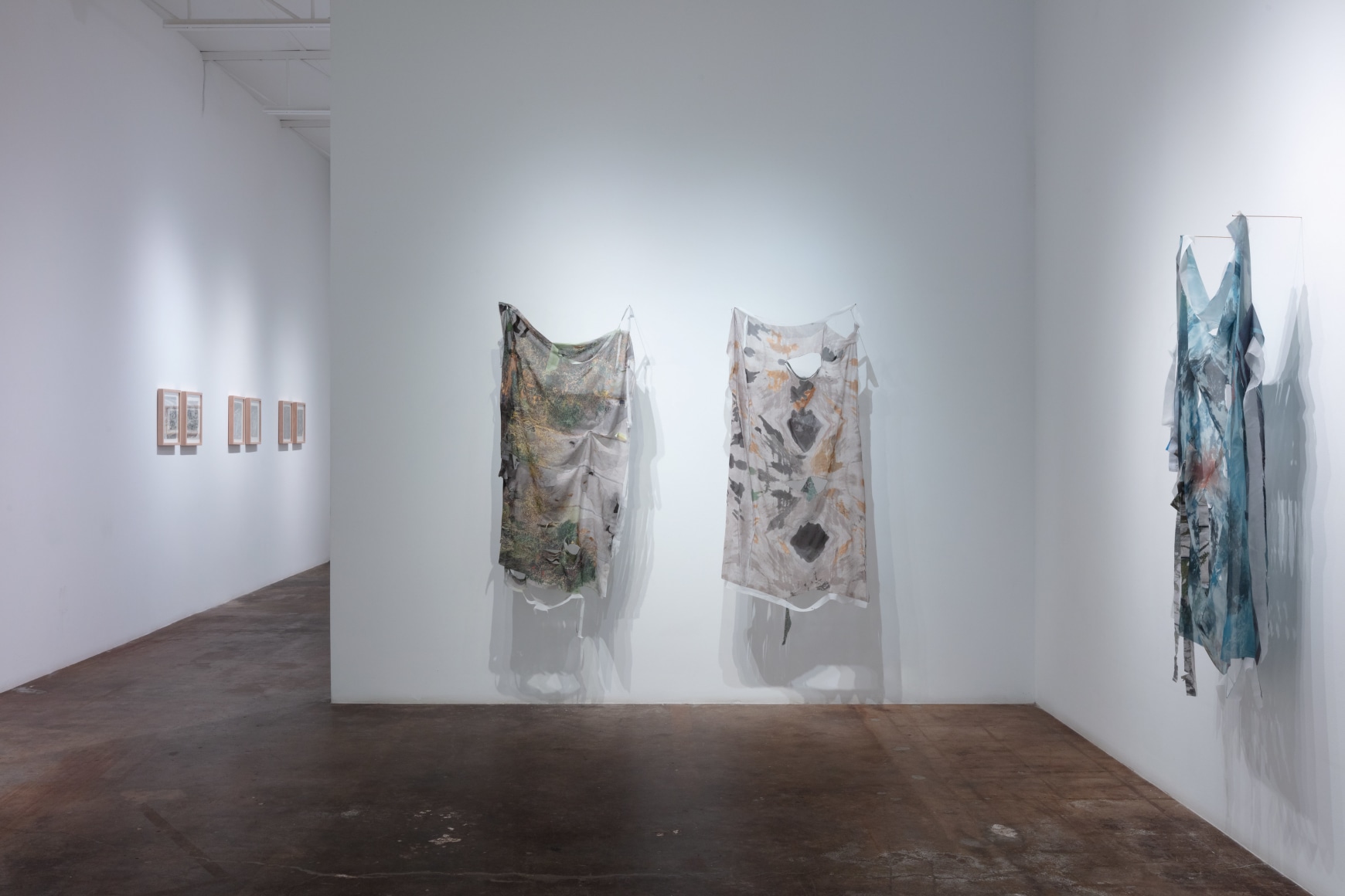 Anne Allen | Animal, Vegetable, Mineral, June 22 - August 17, 2024