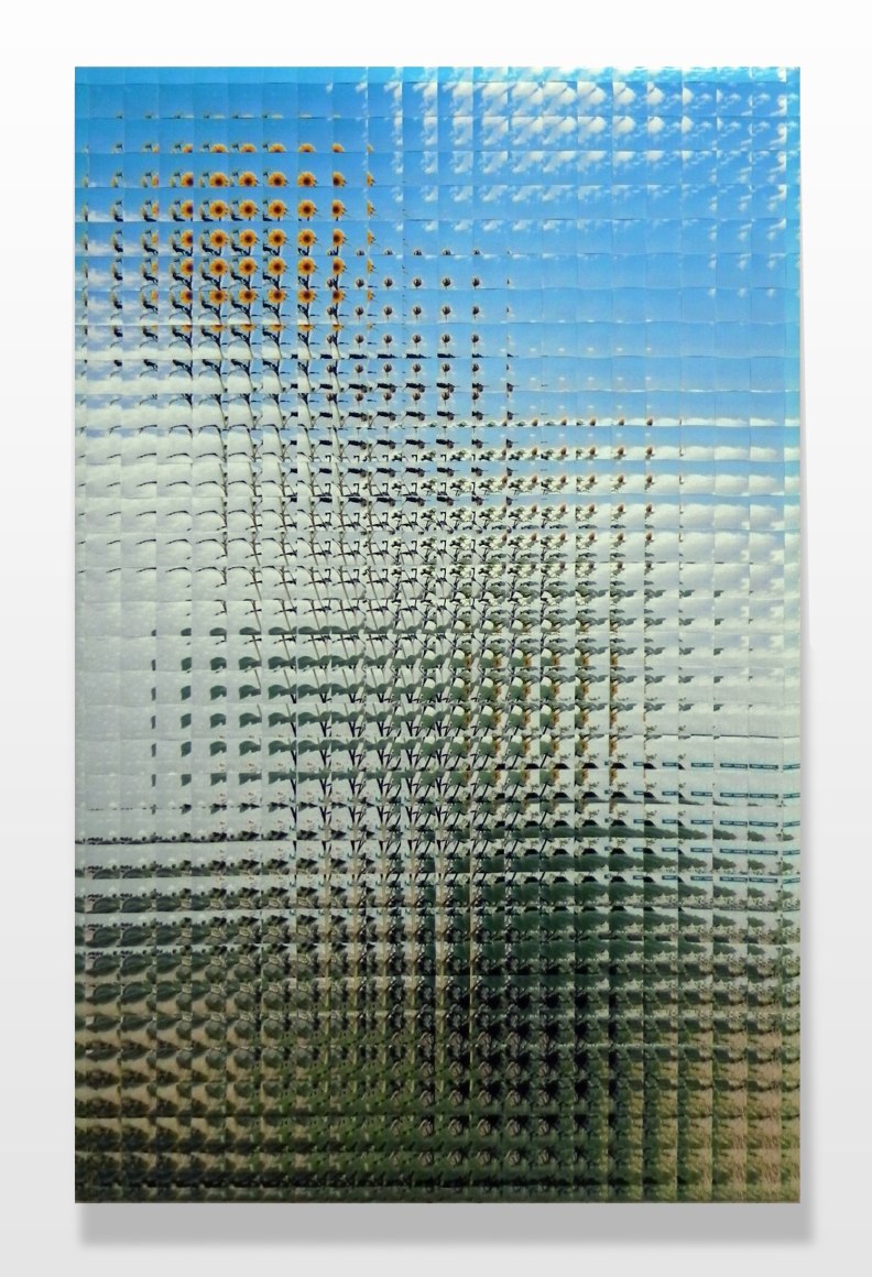 Rusty Scruby, Sunflower, 2004