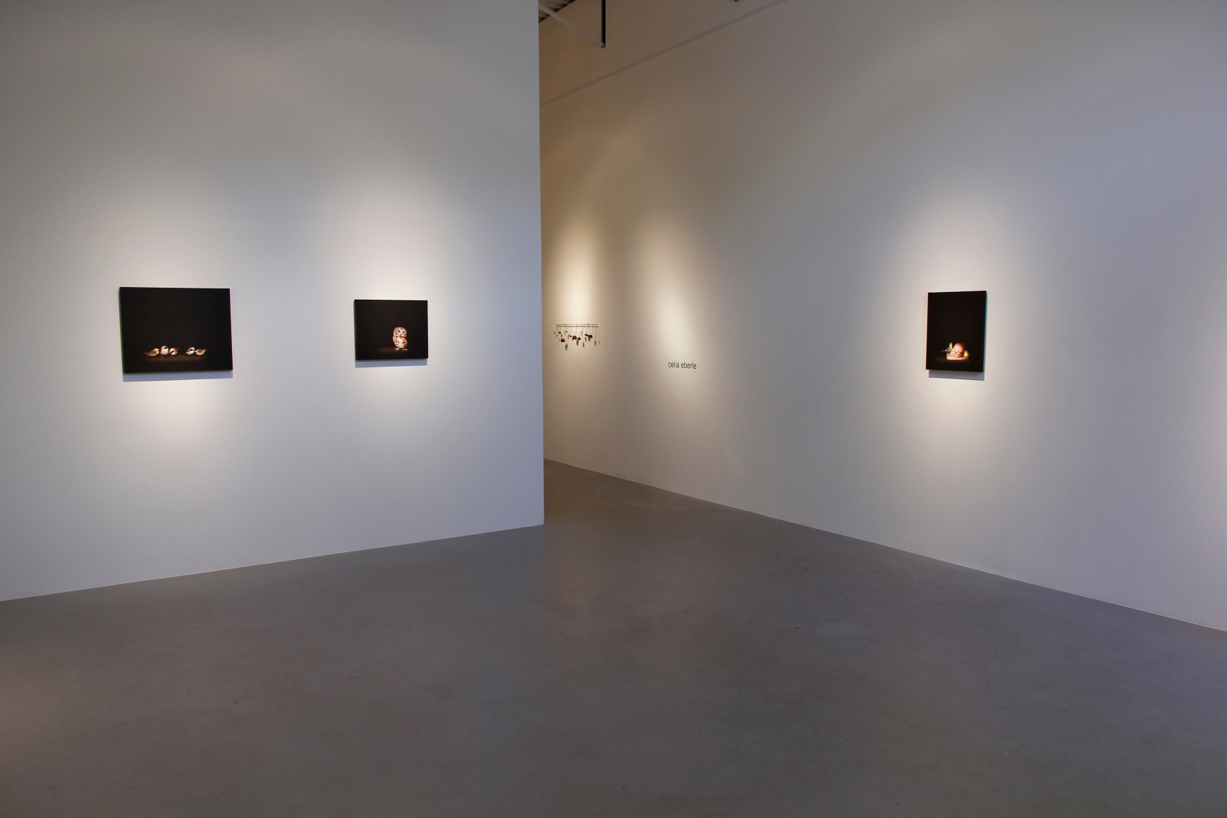 Isabelle du Toit | New Paintings, April 6 - May 11, 2013