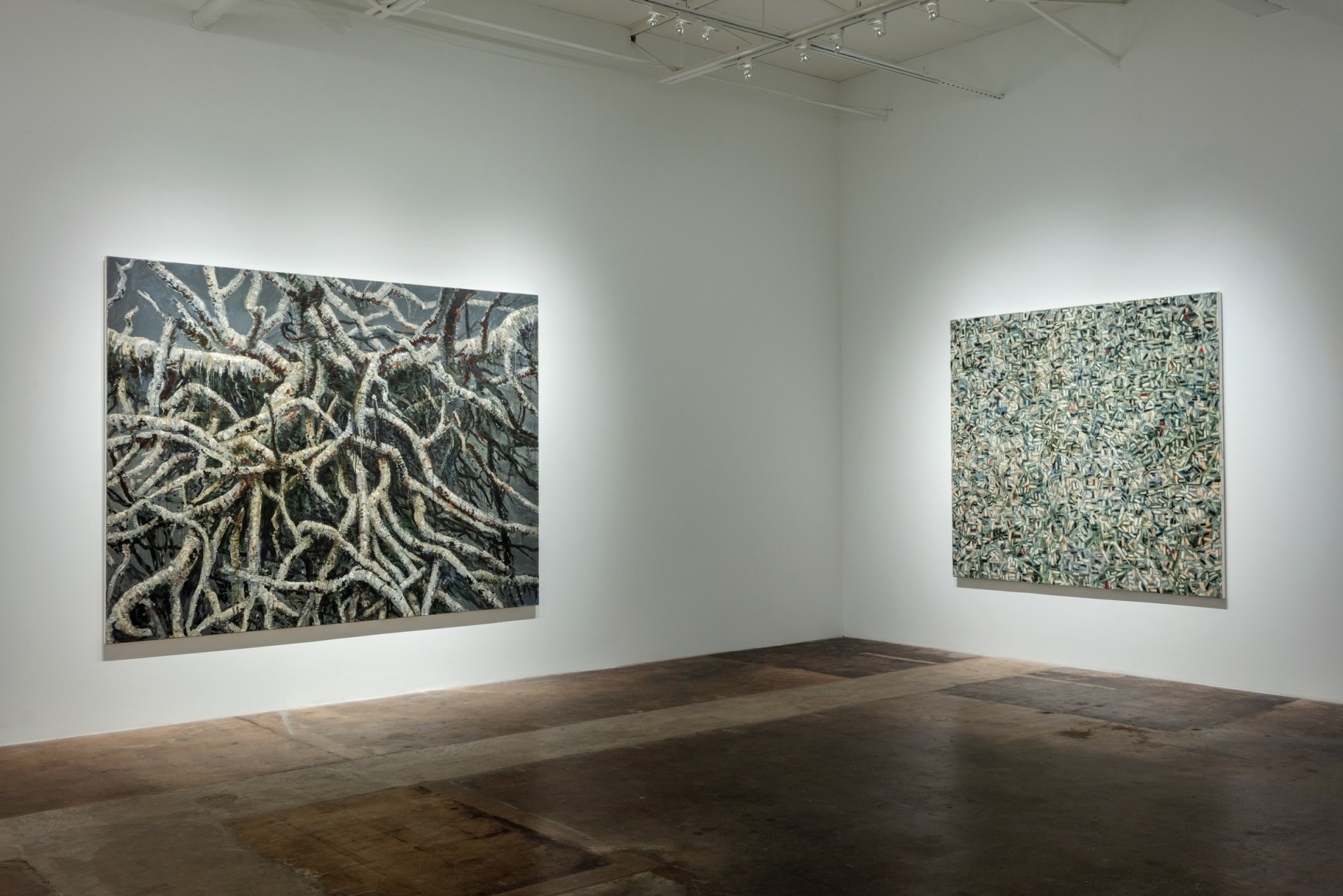 Paul Manes:&nbsp;Recent Paintings, February 20&nbsp;- March 27, 2021