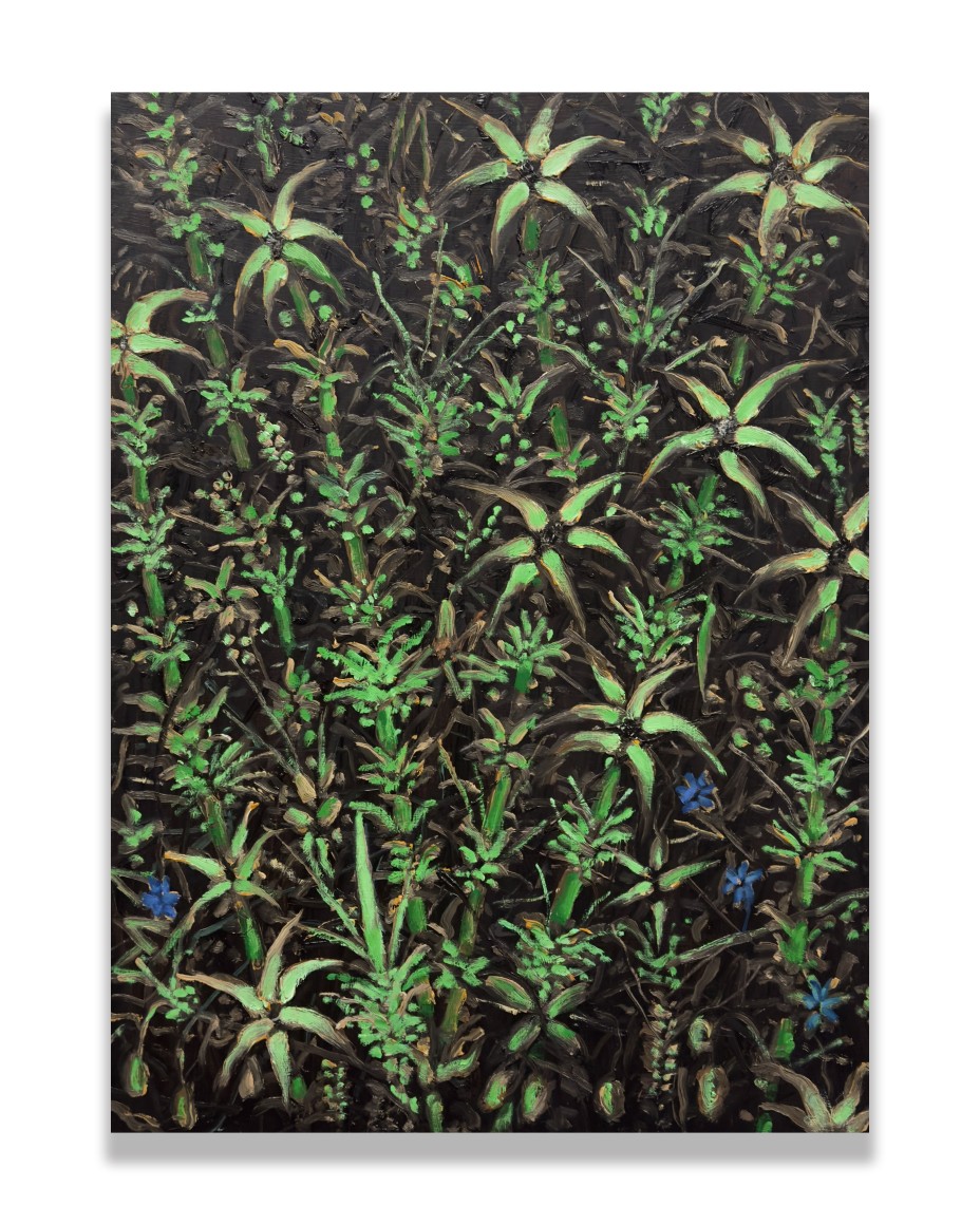 Paul Manes, Night Blossoms, 2025