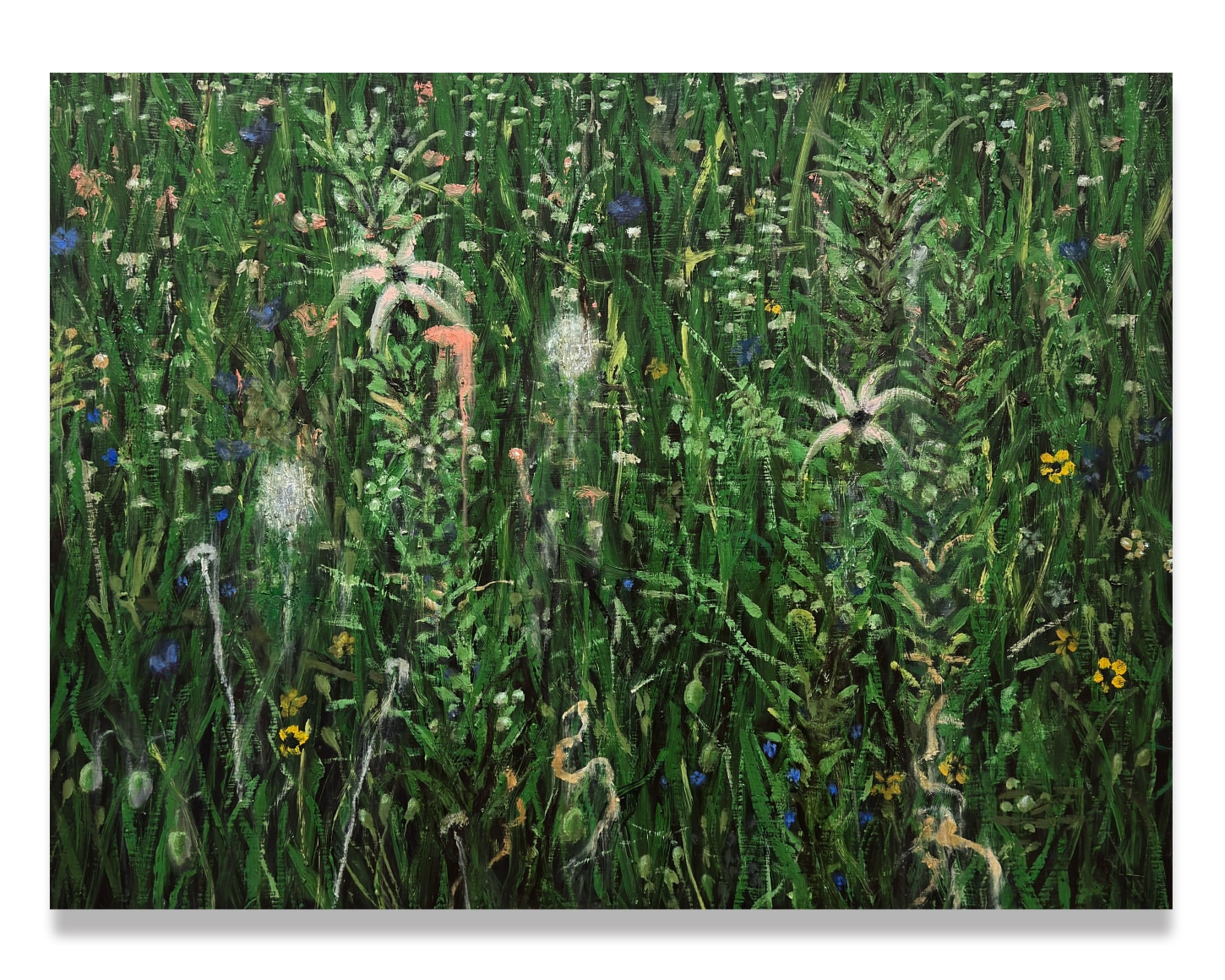 Paul Manes, Verdant, 2025