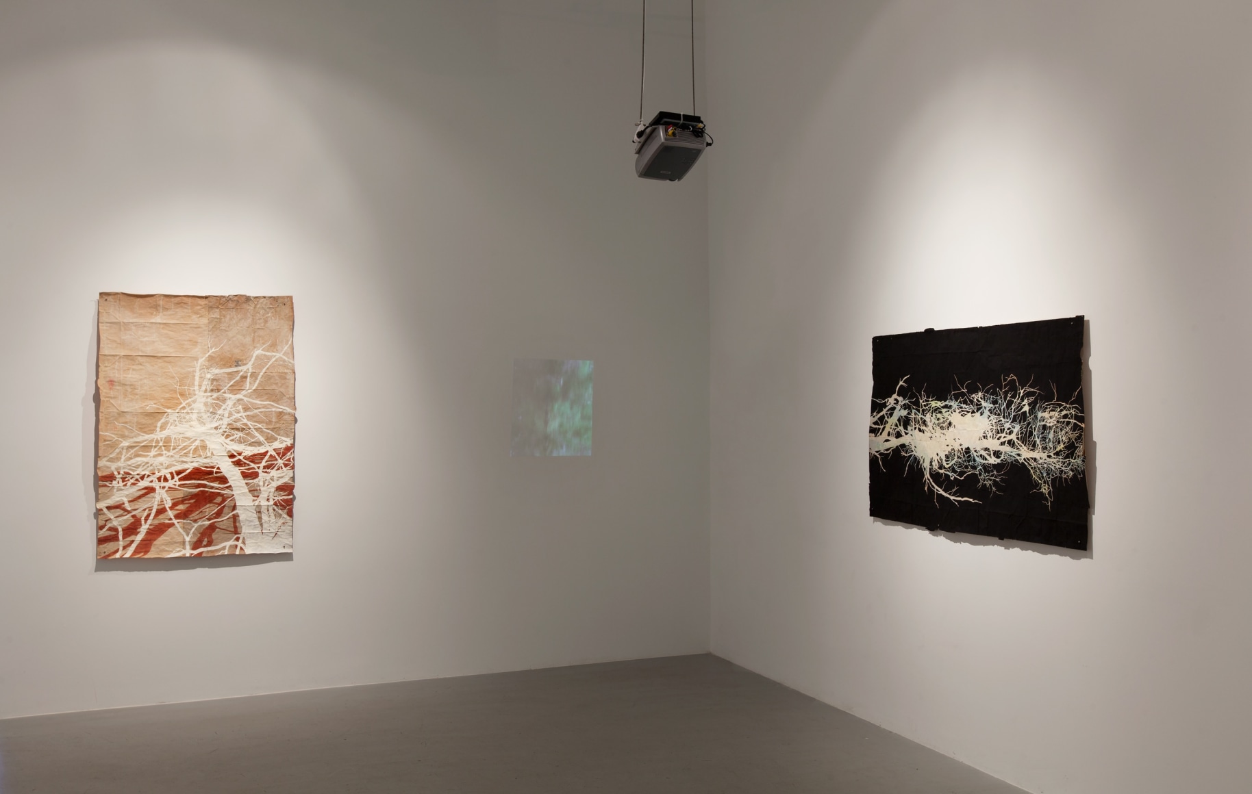 Maysey Craddock, the land is already shadow, the land is already sea, February 22 - March 29, 2014