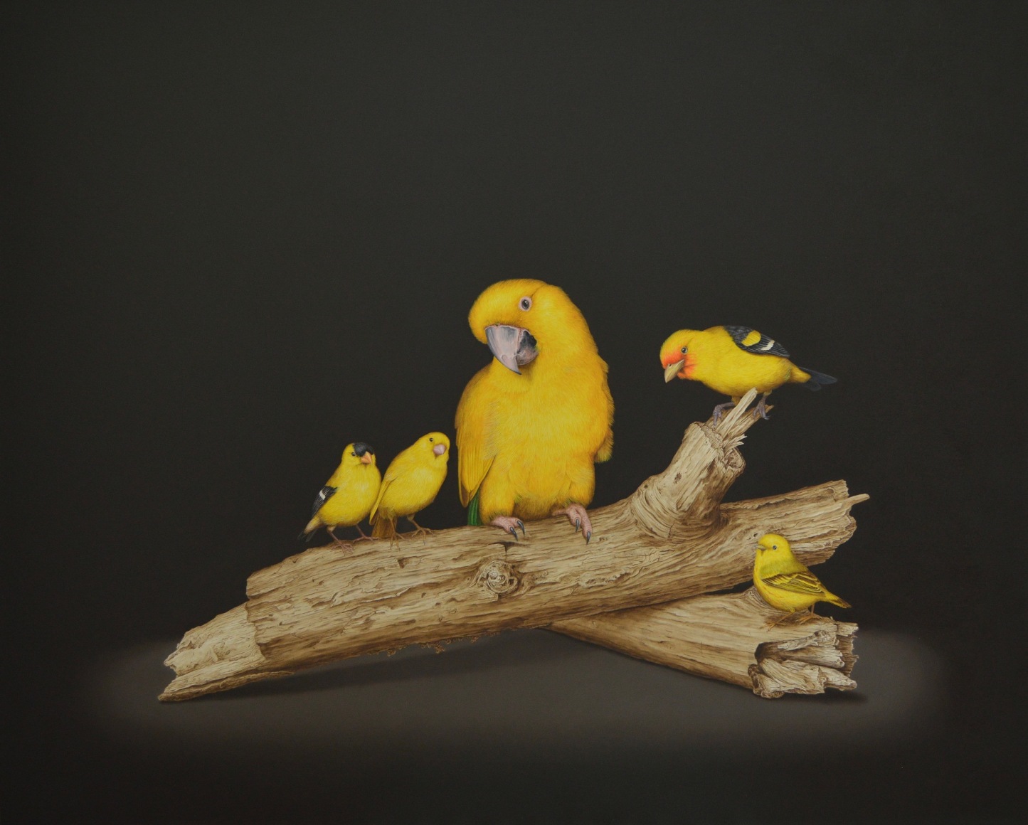 Cris-Worley-Fine-Arts-Gallery-Dallas-Texas-Isabelle-du-Toit