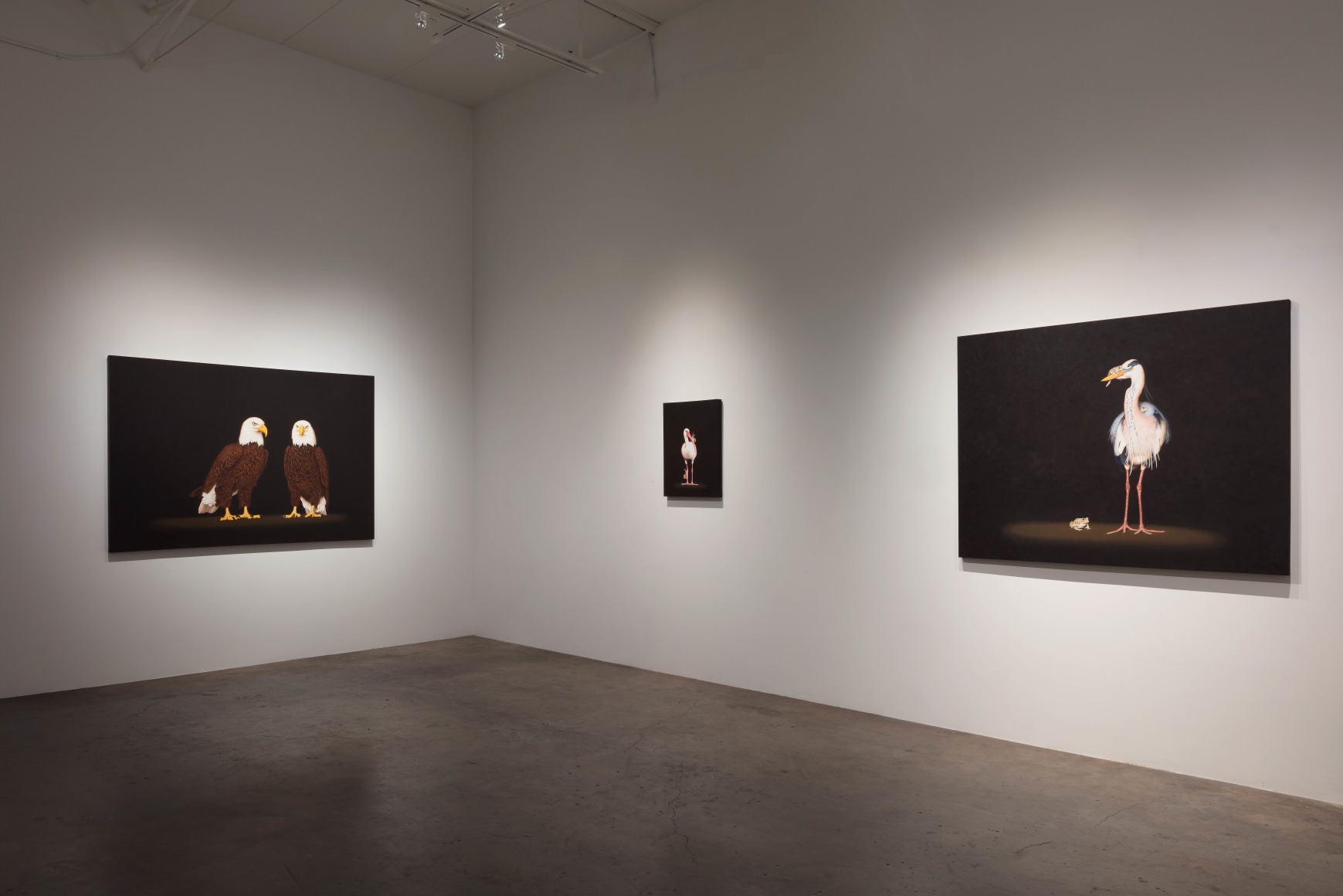 Isabelle du Toit: Truce November 18 &ndash; December 30, 2017