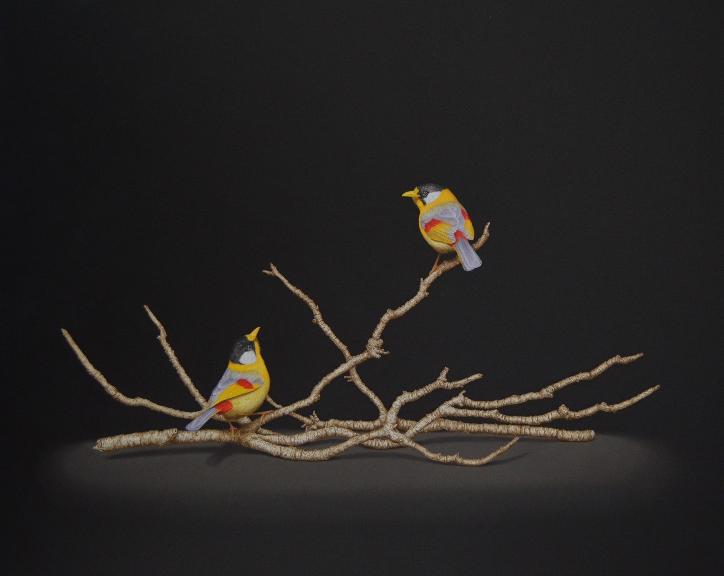 Cris-Worley-Fine-Arts-Gallery-Dallas-Texas-Isabelle-du-Toit