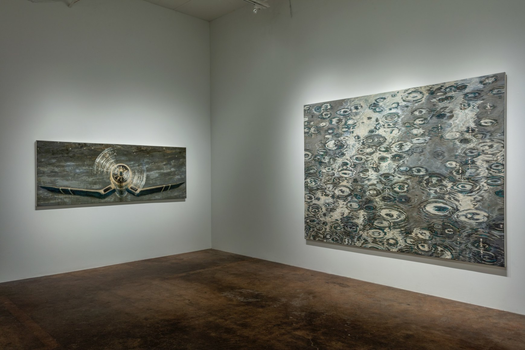 Paul Manes:&nbsp;Recent Paintings