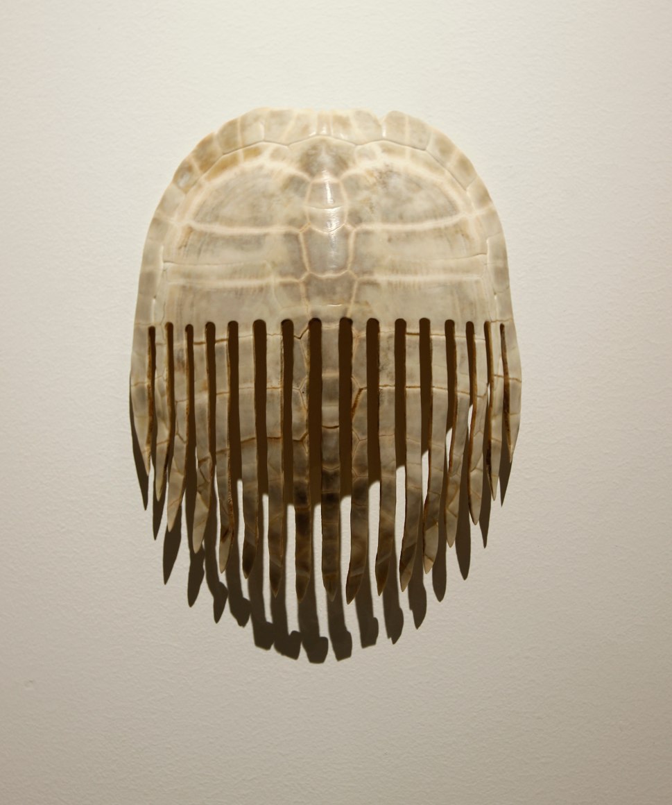 Celia Eberle, Comb, 2012