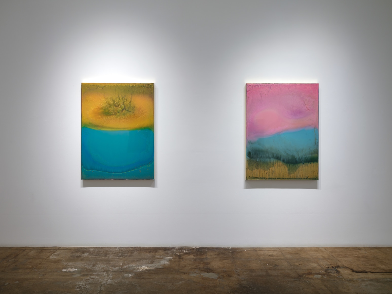 Terry Suprean, The Fatale Softness in the Earth