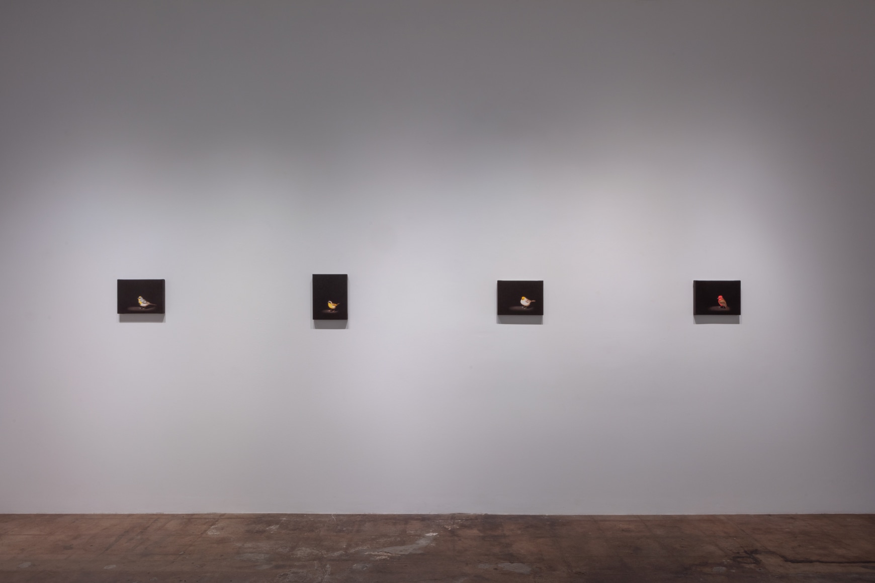 Isabelle du Toit | Diversity, April 11 - June 13, 2020