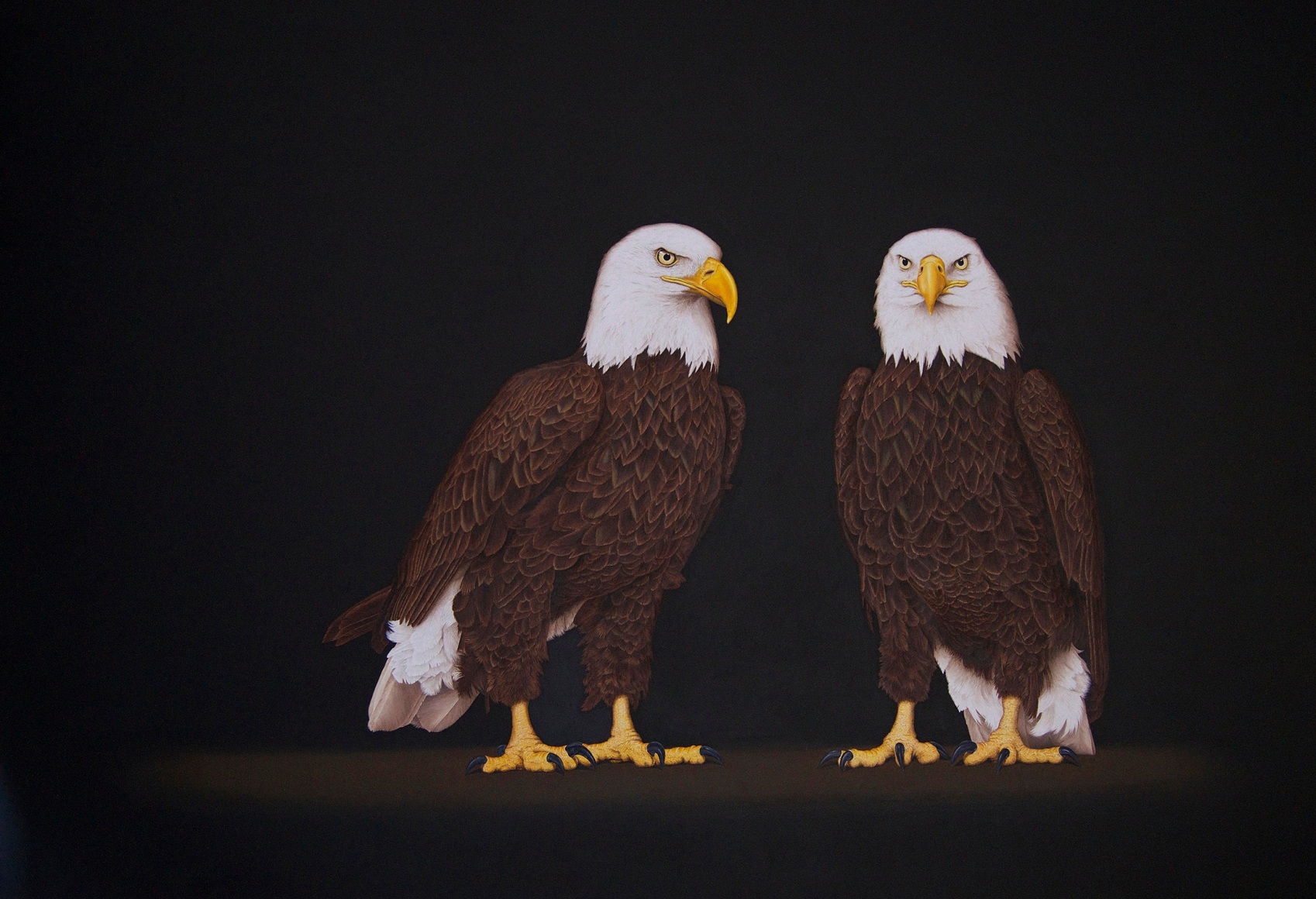 Cris-Worley-Fine-Arts-Gallery-Dallas-Texas-Isabelle-du-Toit