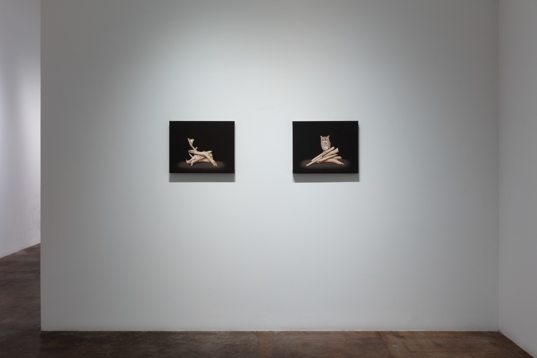 Isabelle du Toit | Refuge, November 18 - December 30, 2023