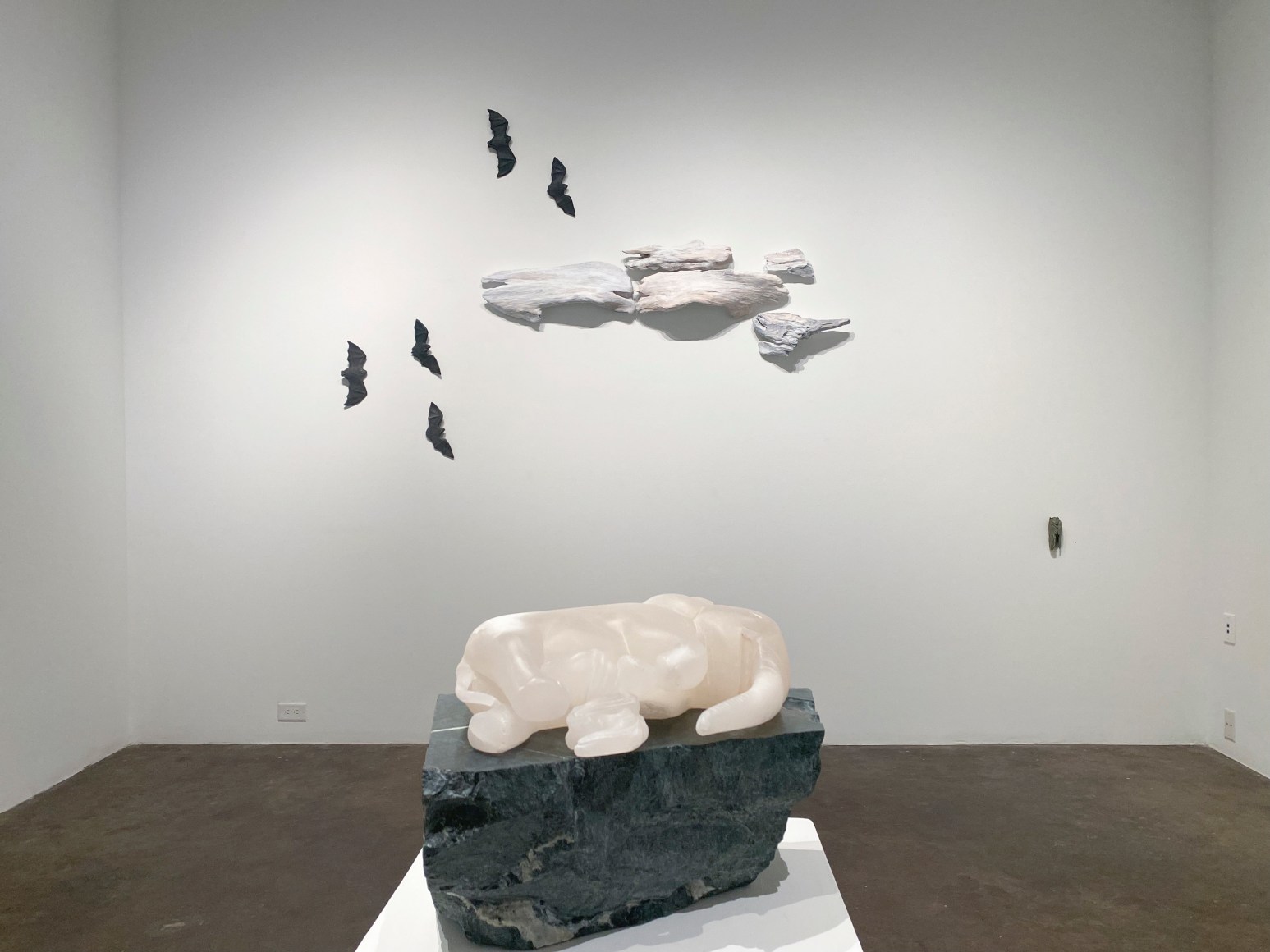 Celia Eberle, Installation View, 2022