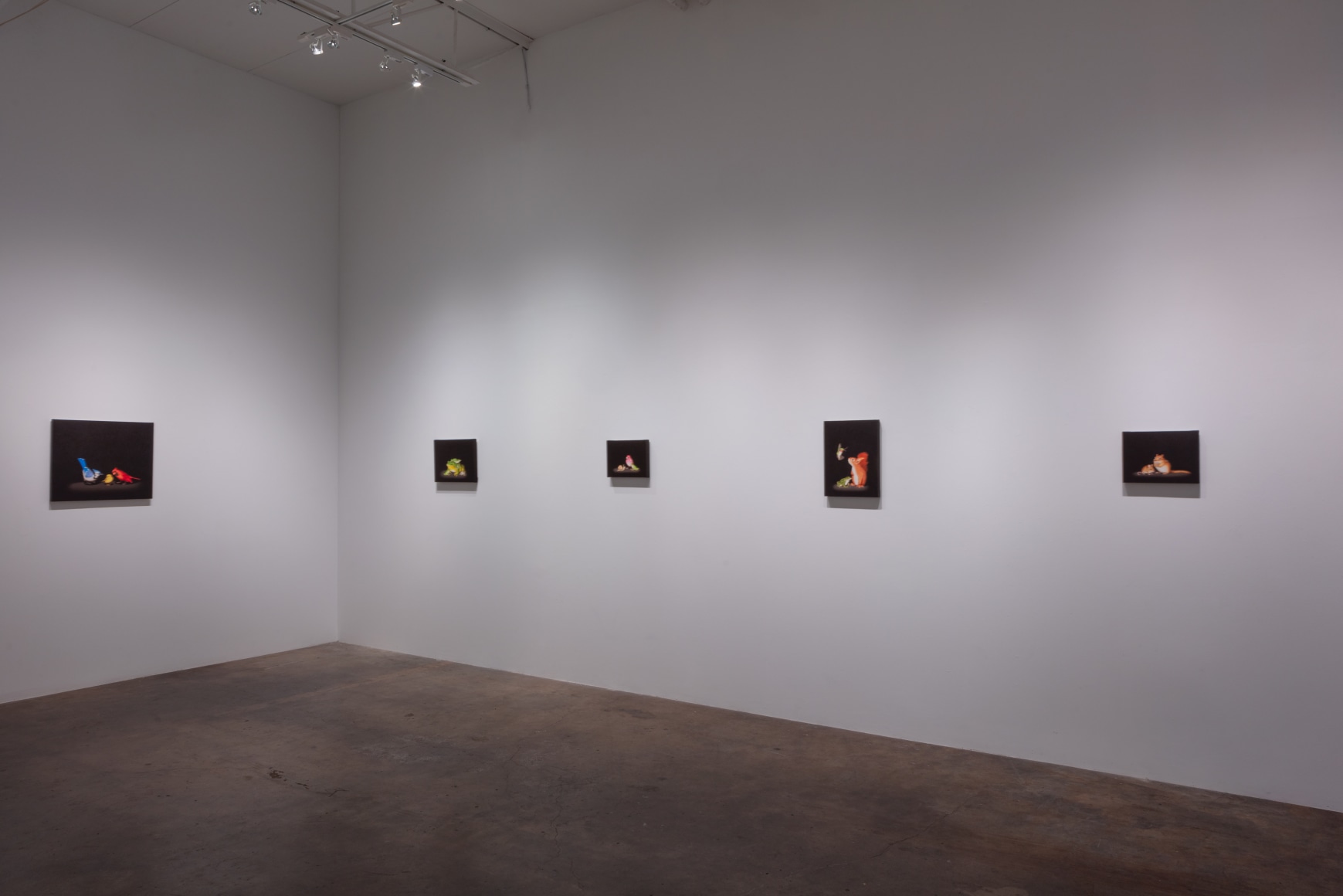 Isabelle du Toit | Diversity, April 11 - June 13, 2020