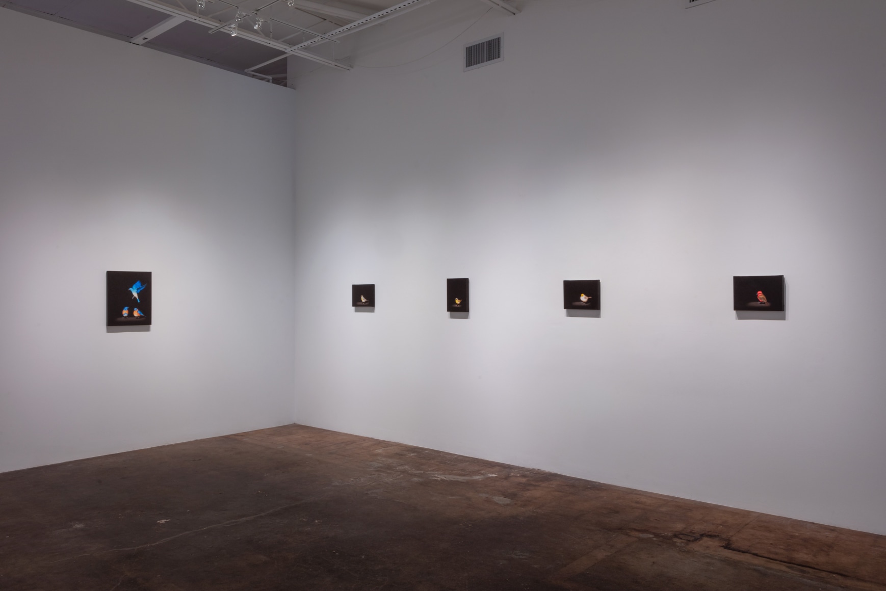 Isabelle du Toit | Refuge, November 18 - December 30, 2023