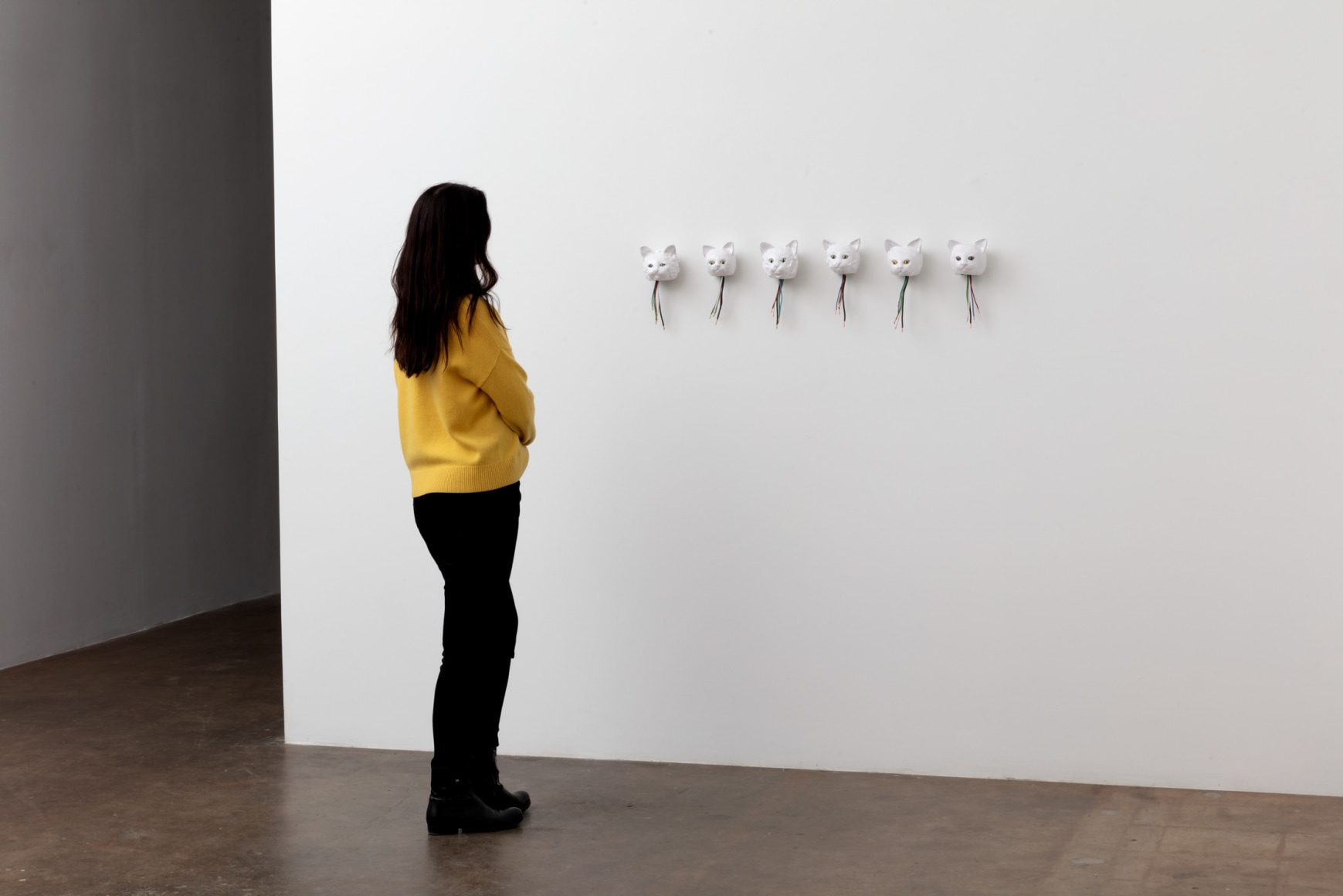 Celia Eberle, Automatic Cats, 2021