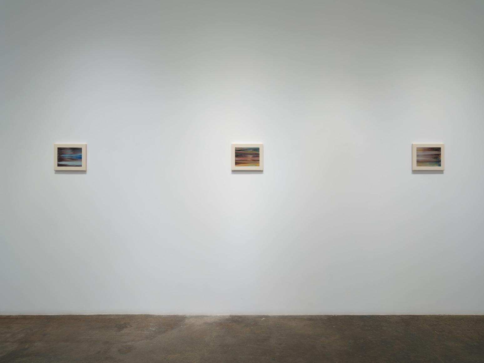 Richard Patterson, Nature Paintings