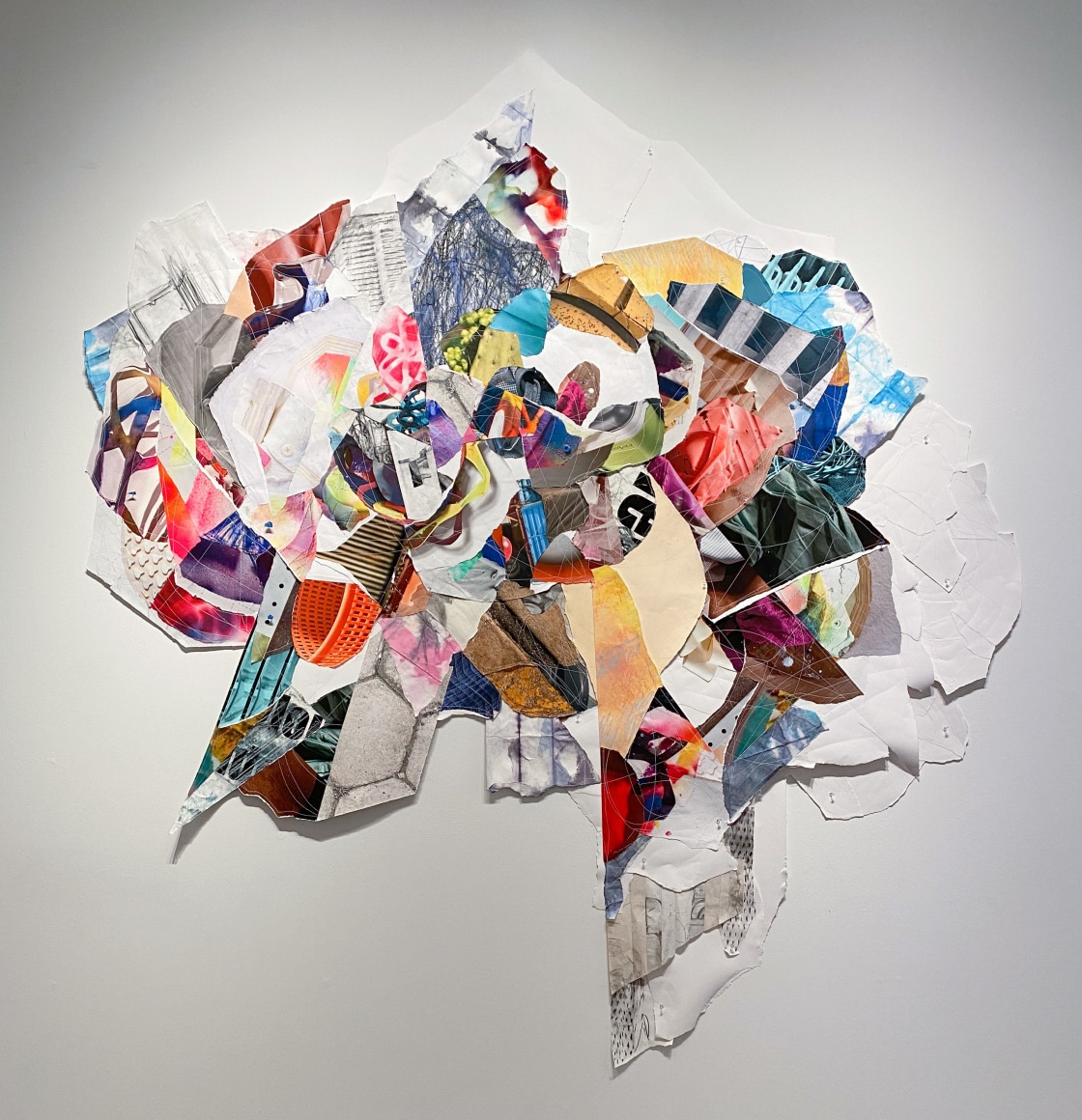 Josephine Durkin, Flora 19, Deeper Roots, 2022