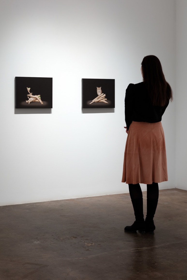 Isabelle du Toit |&nbsp;Refuge, November 18 - December 30, 2023