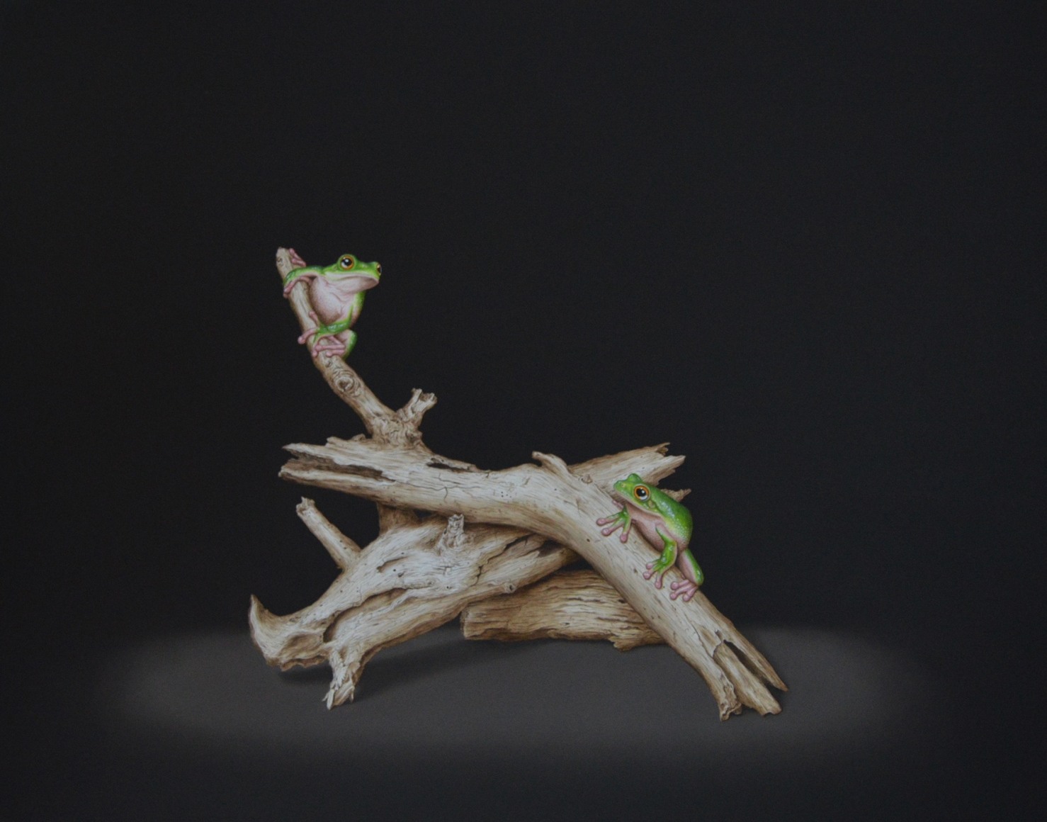 Cris-Worley-Fine-Arts-Gallery-Dallas-Texas-Isabelle-du-Toit