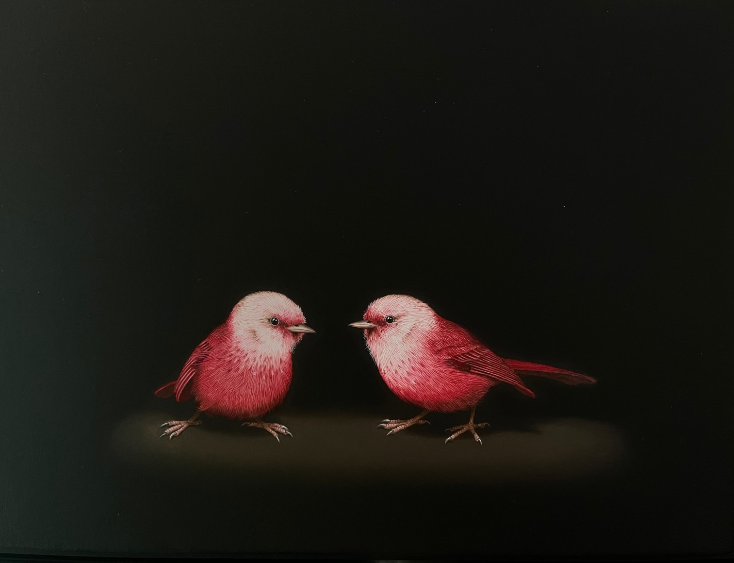 Isabelle du Toit, Pink-headed Warblers, 2025